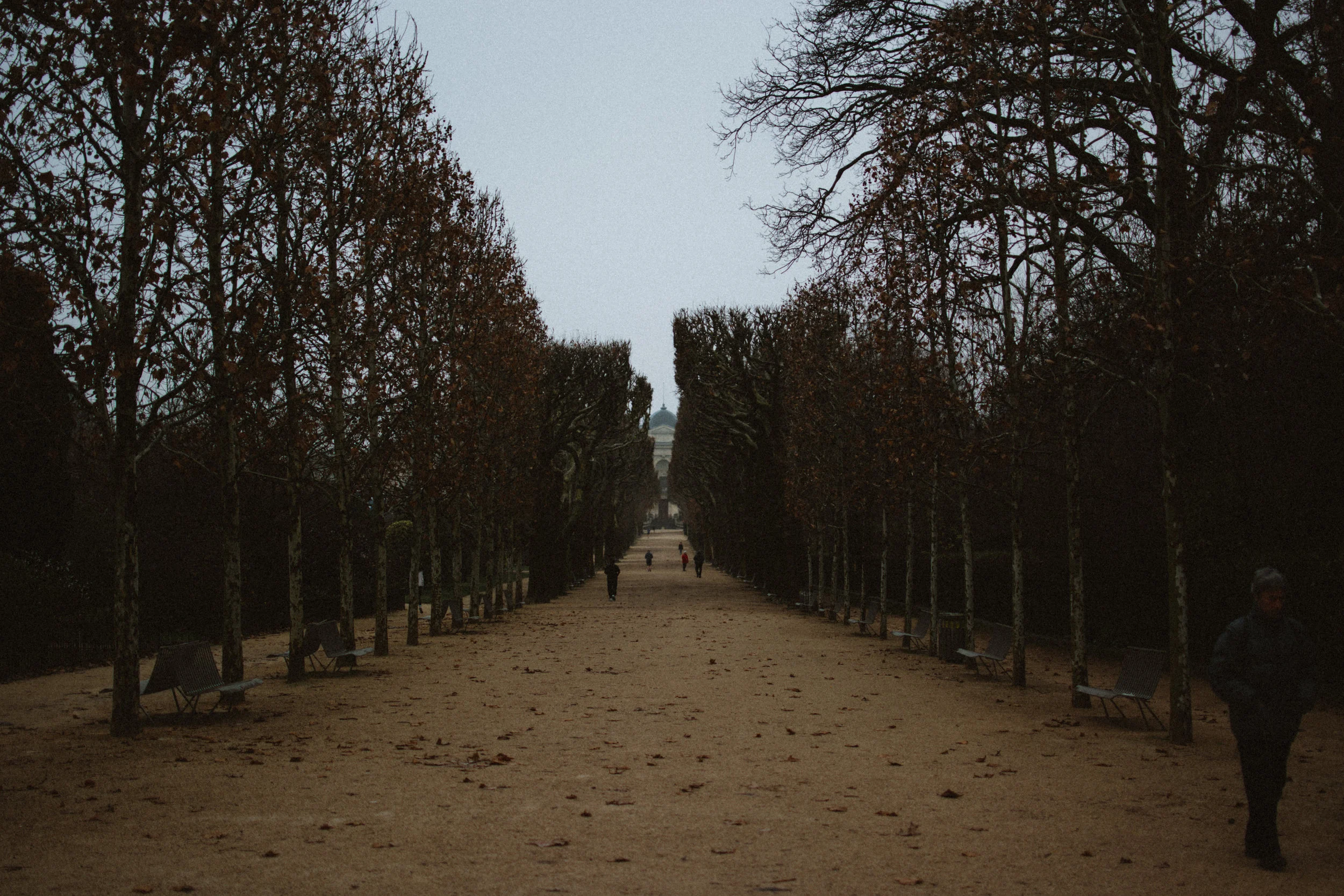 jardin des plantes