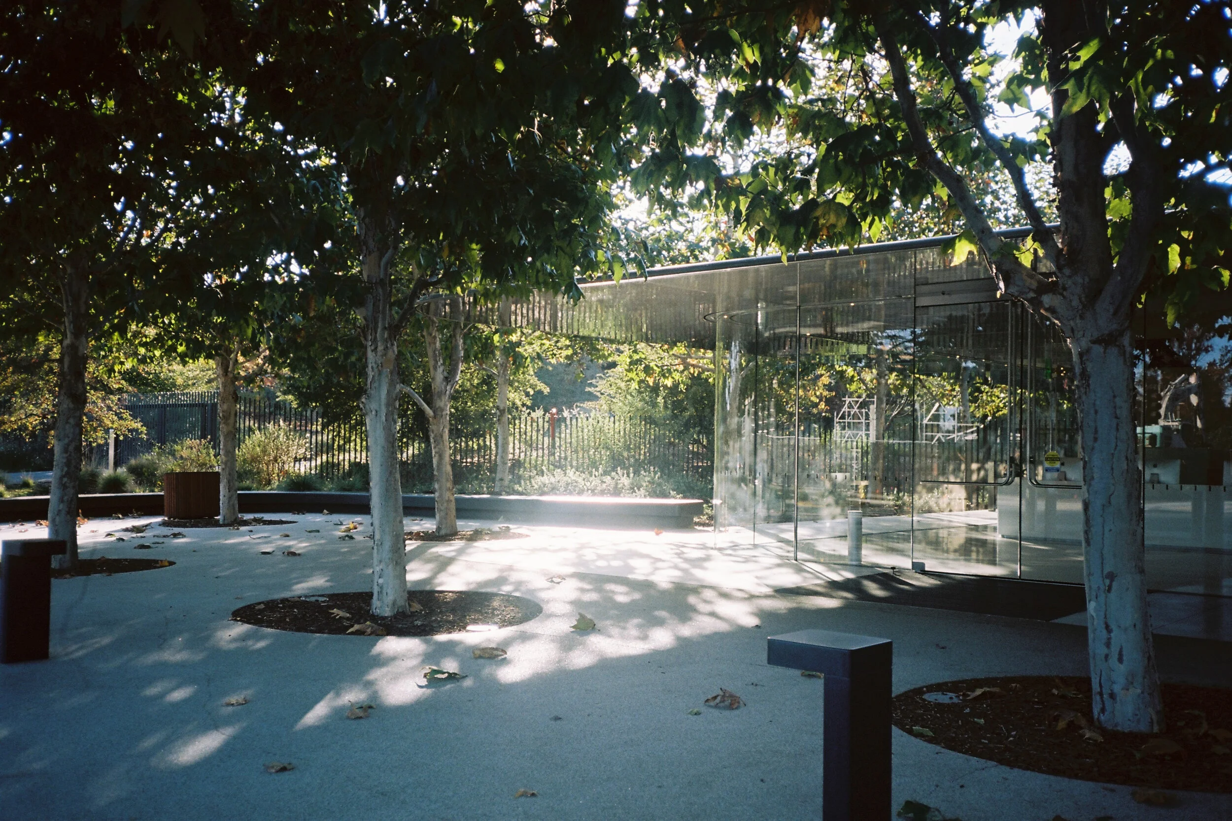apple hq