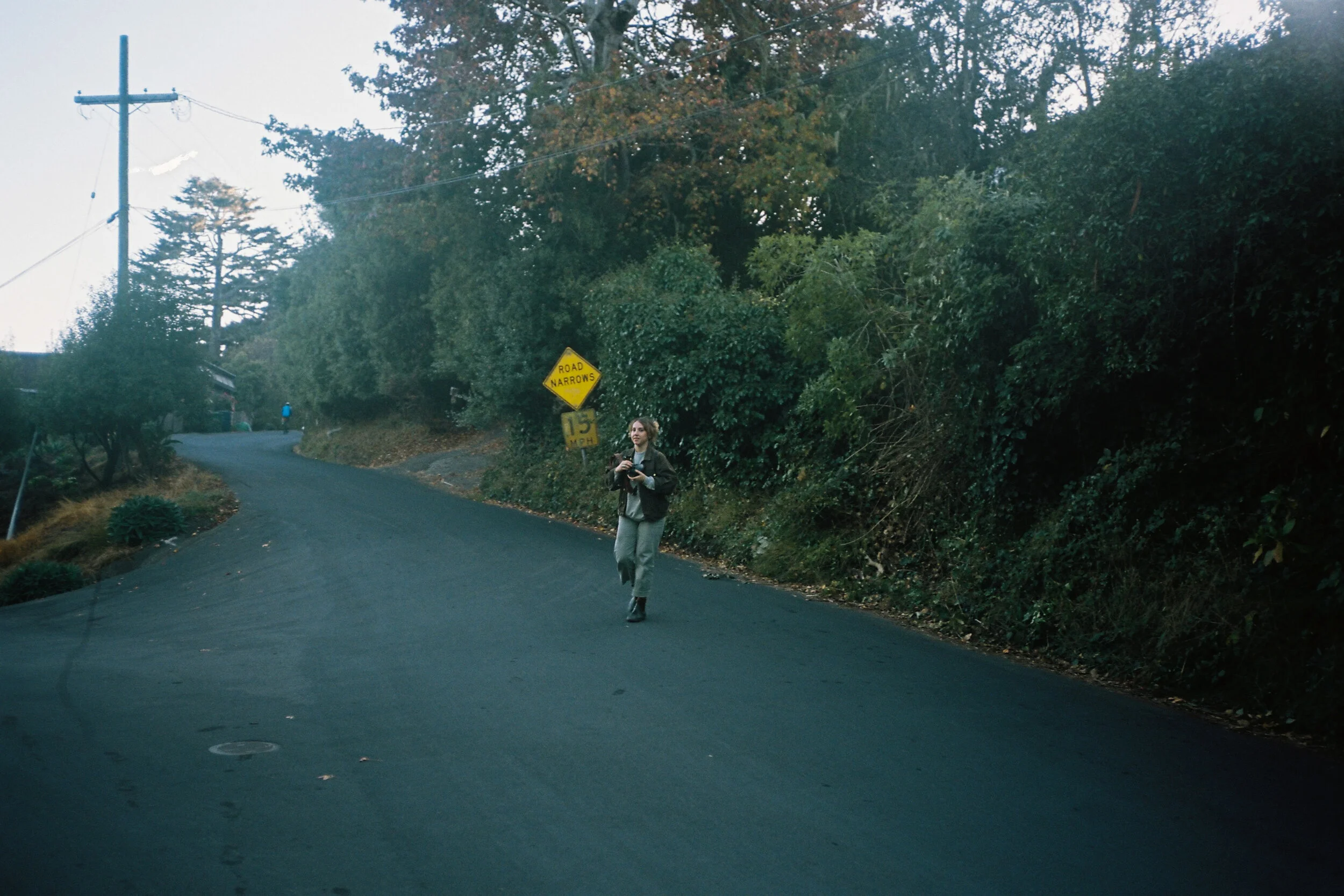bolinas