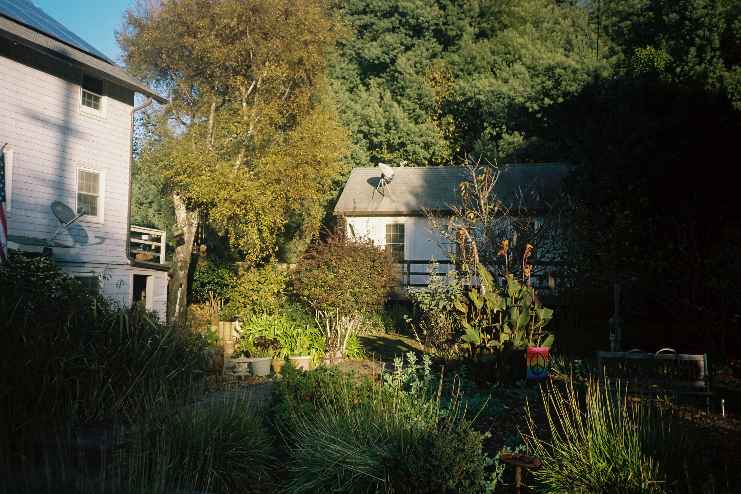 bolinas