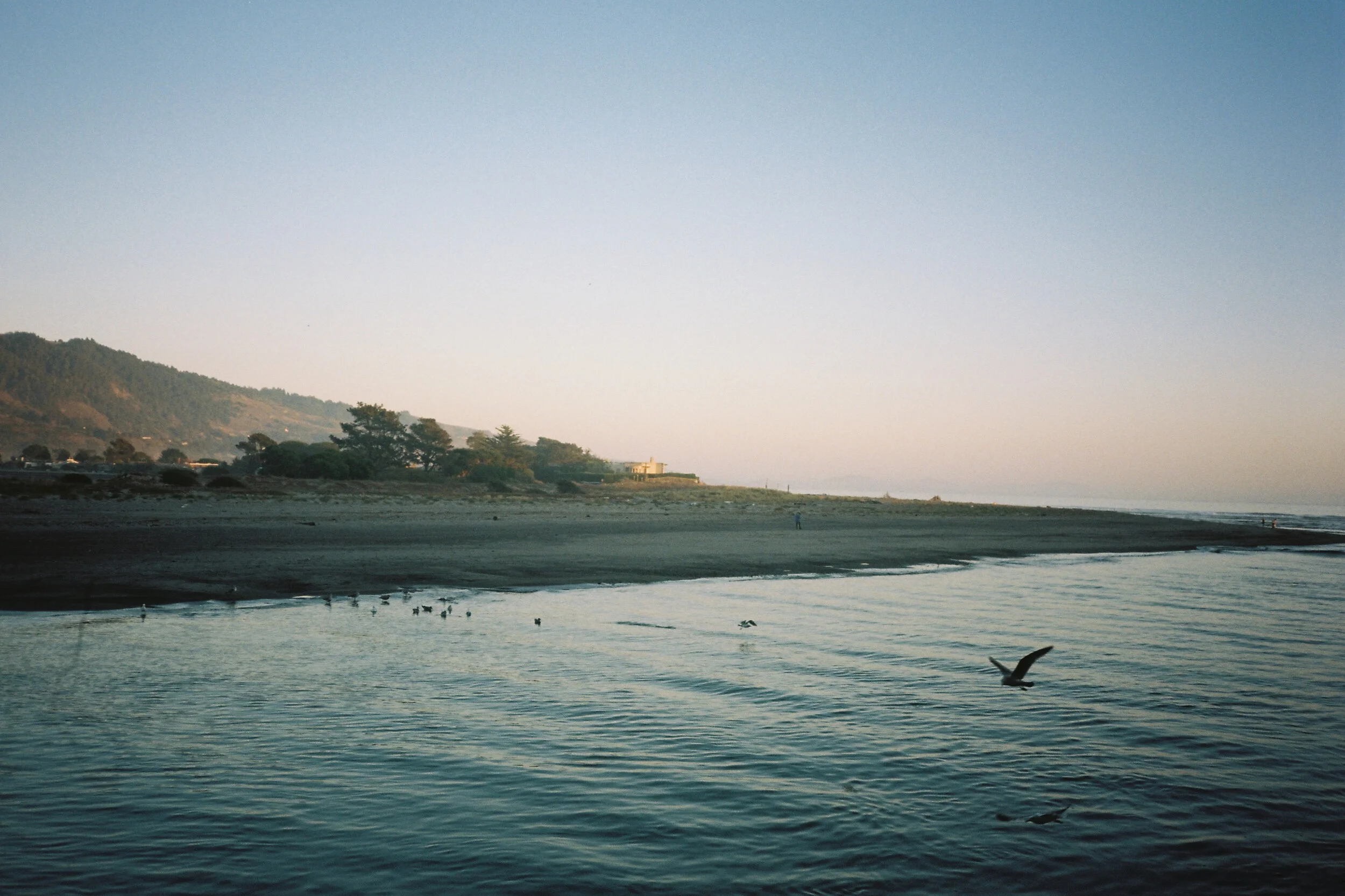 bolinas