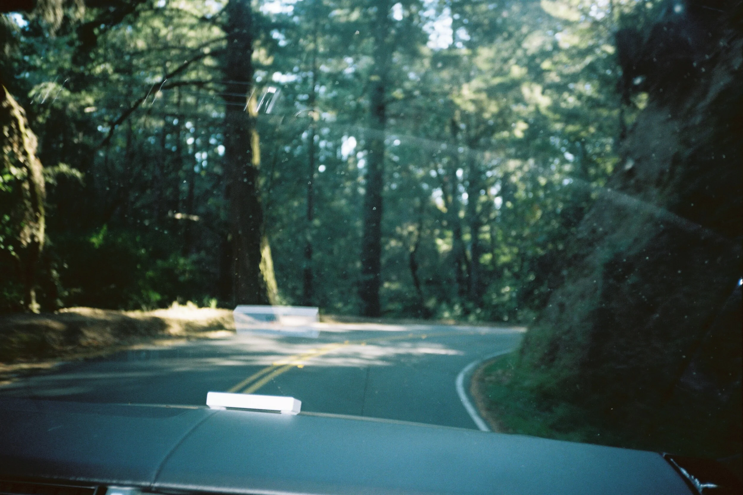 mill valley