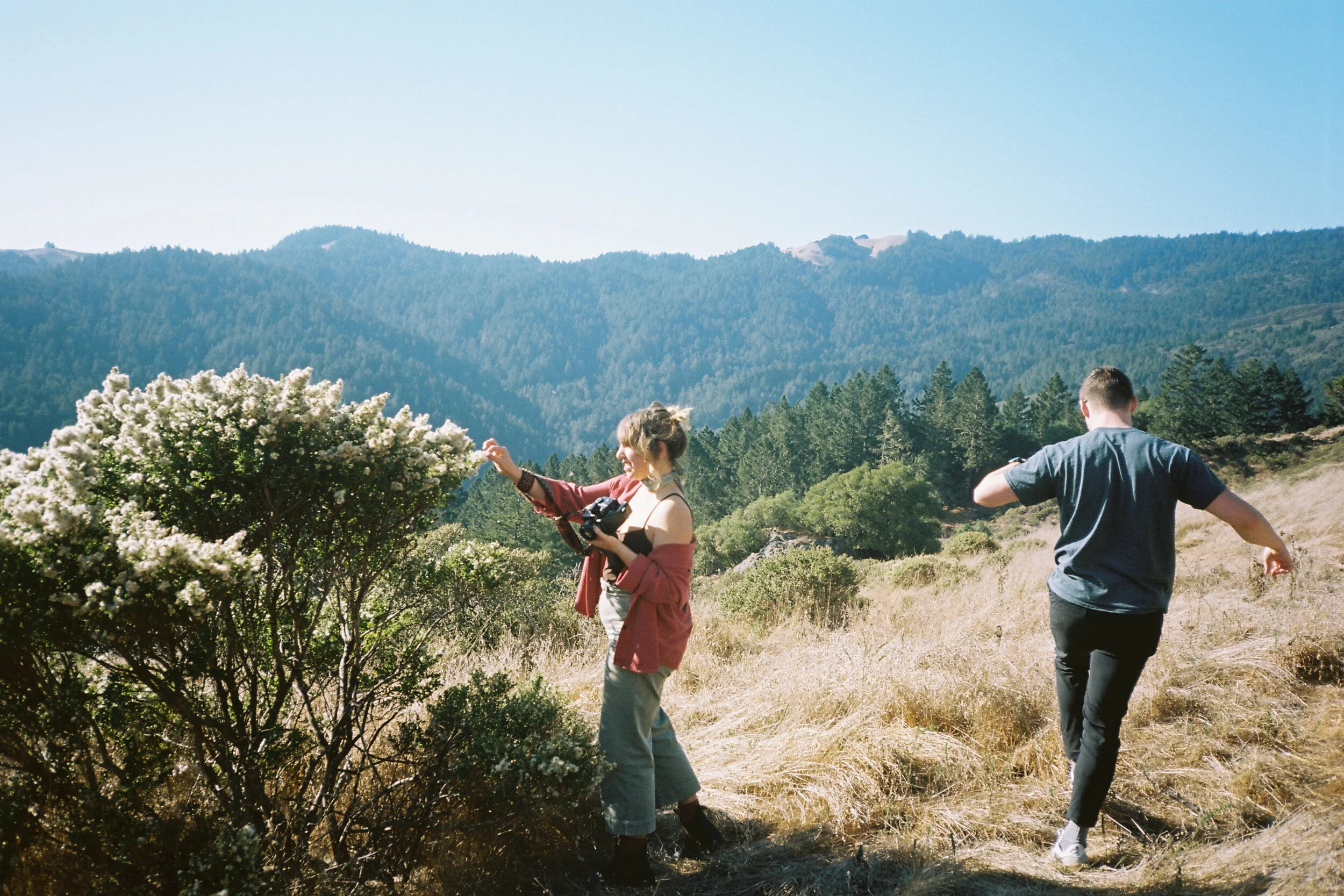 mill valley