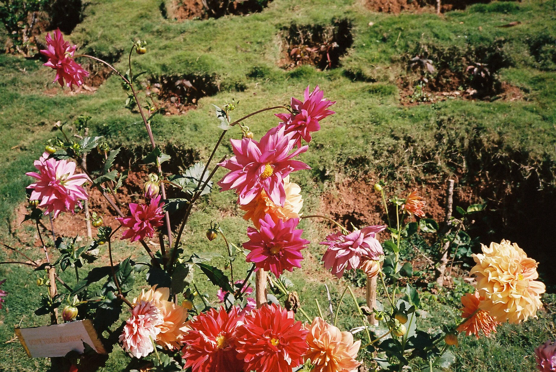 munnar