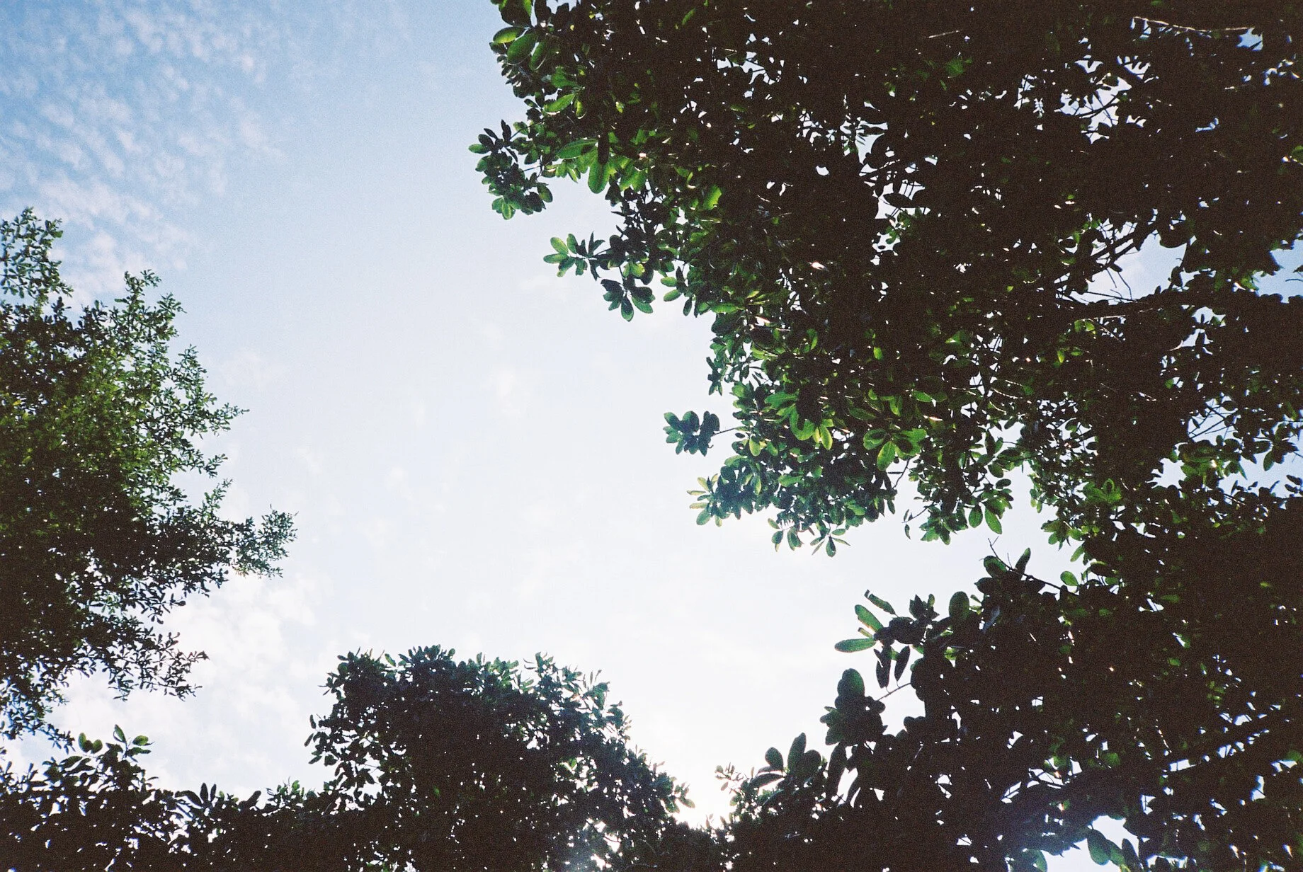 east coast park