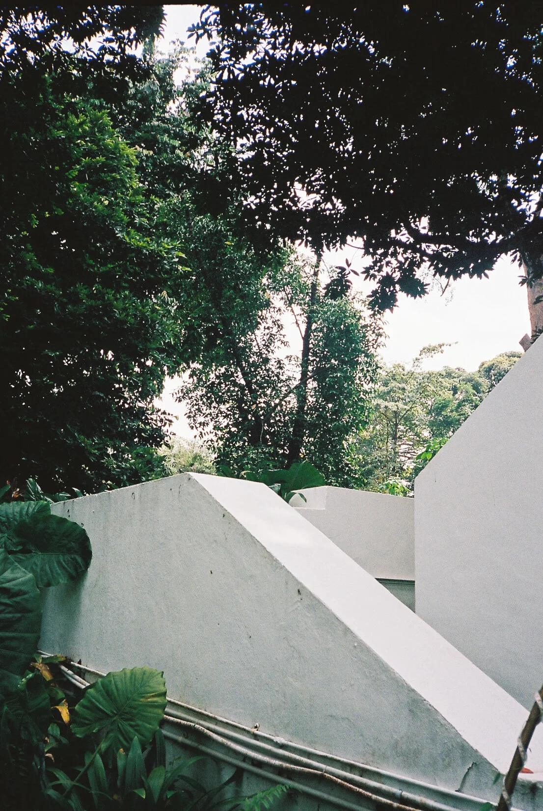 botanic gardens