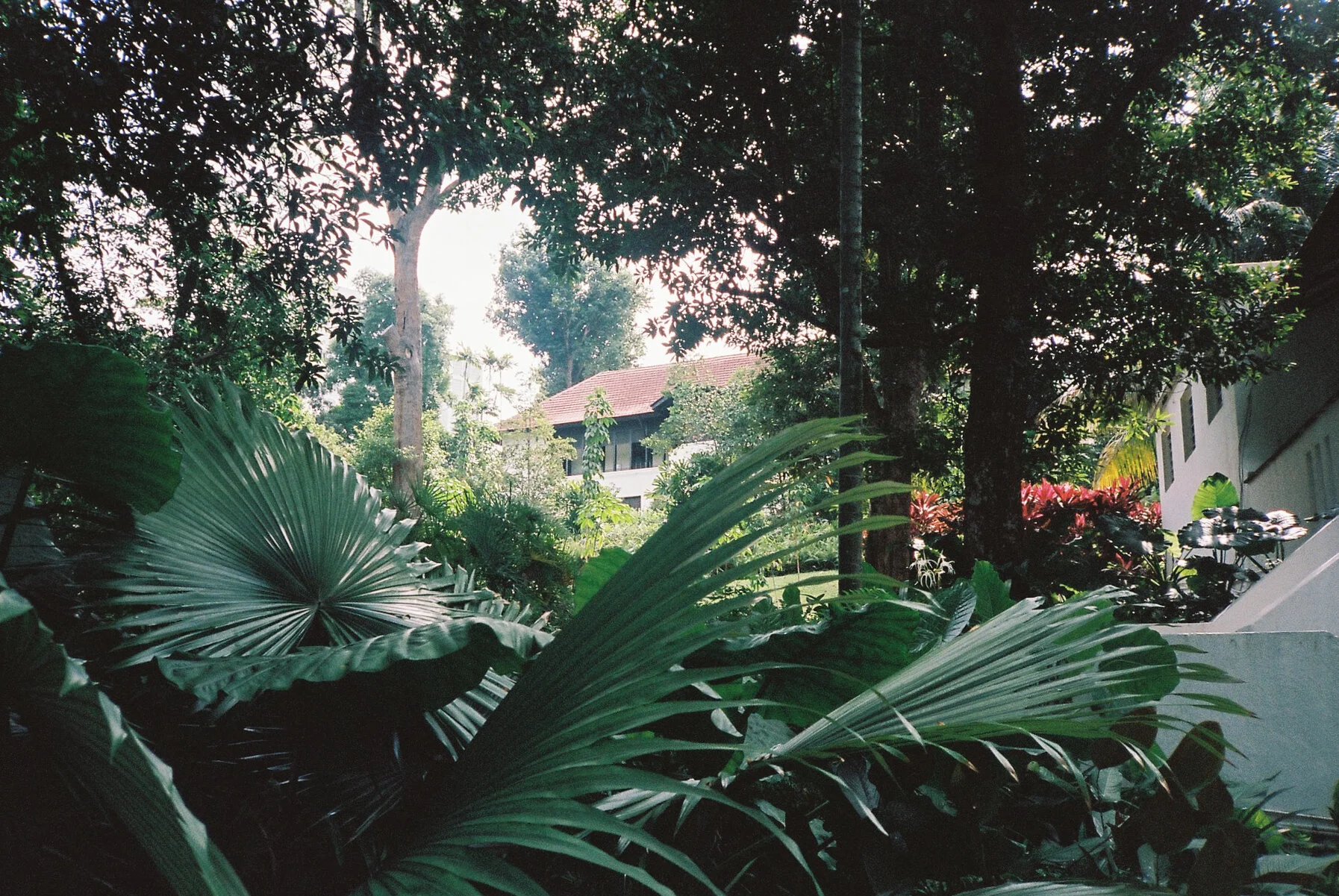 botanic gardens