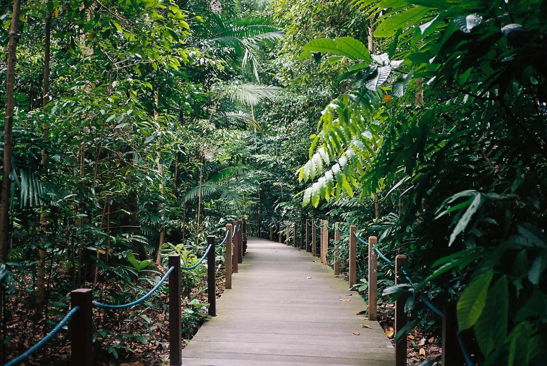 botanic gardens