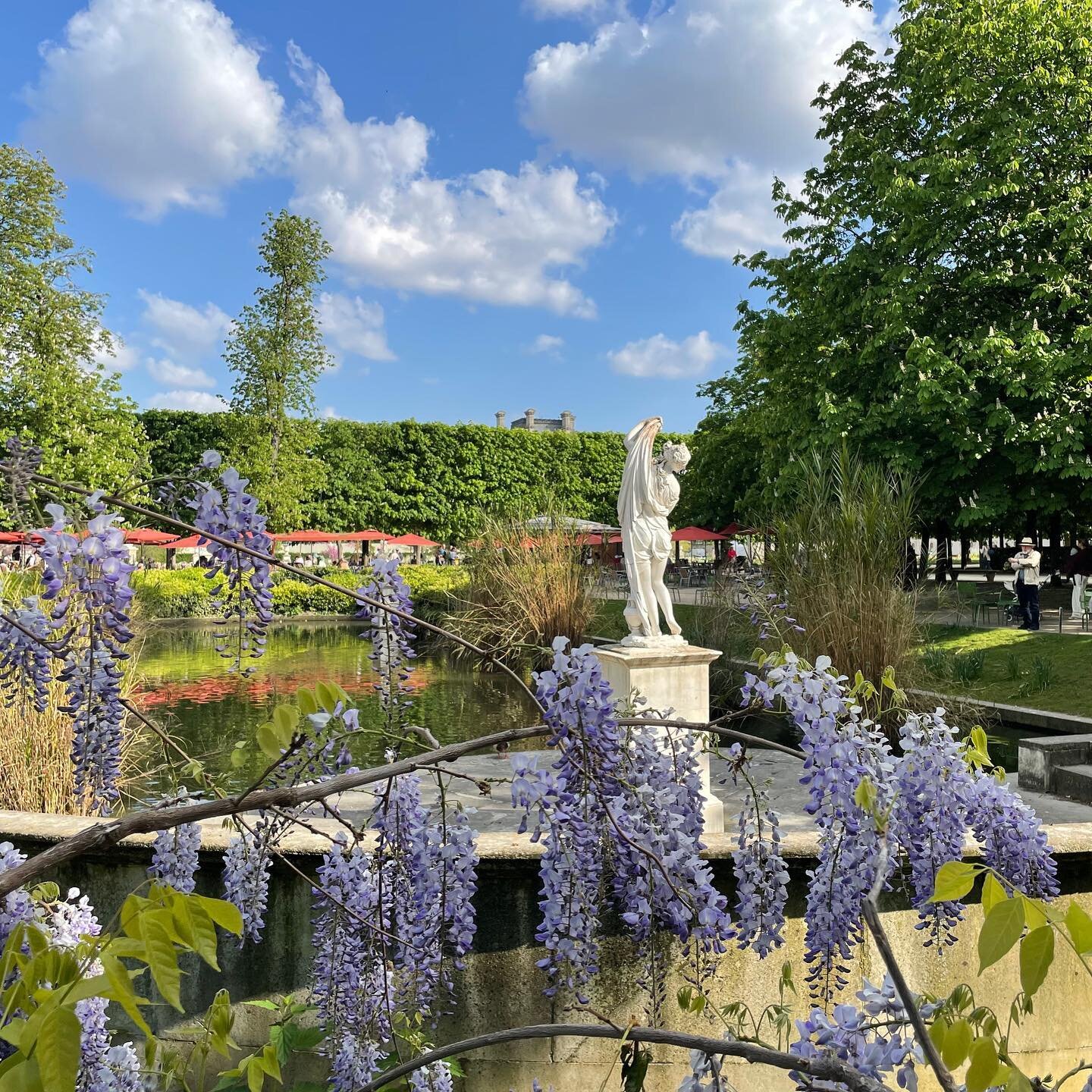 Grateful for the wisteria and cherry blossom sightings on this Spring stroll through the Tuileries Gardens.🌸 #thelittleguidefrance
⠀⠀⠀⠀⠀⠀⠀⠀⠀
⠀⠀⠀⠀⠀⠀⠀⠀⠀
⠀⠀⠀⠀⠀⠀⠀⠀⠀
⠀⠀⠀⠀⠀⠀⠀⠀⠀
#parisianvibe #frenchvibes #parismonamour #parisian #parisienne #parisinsider 