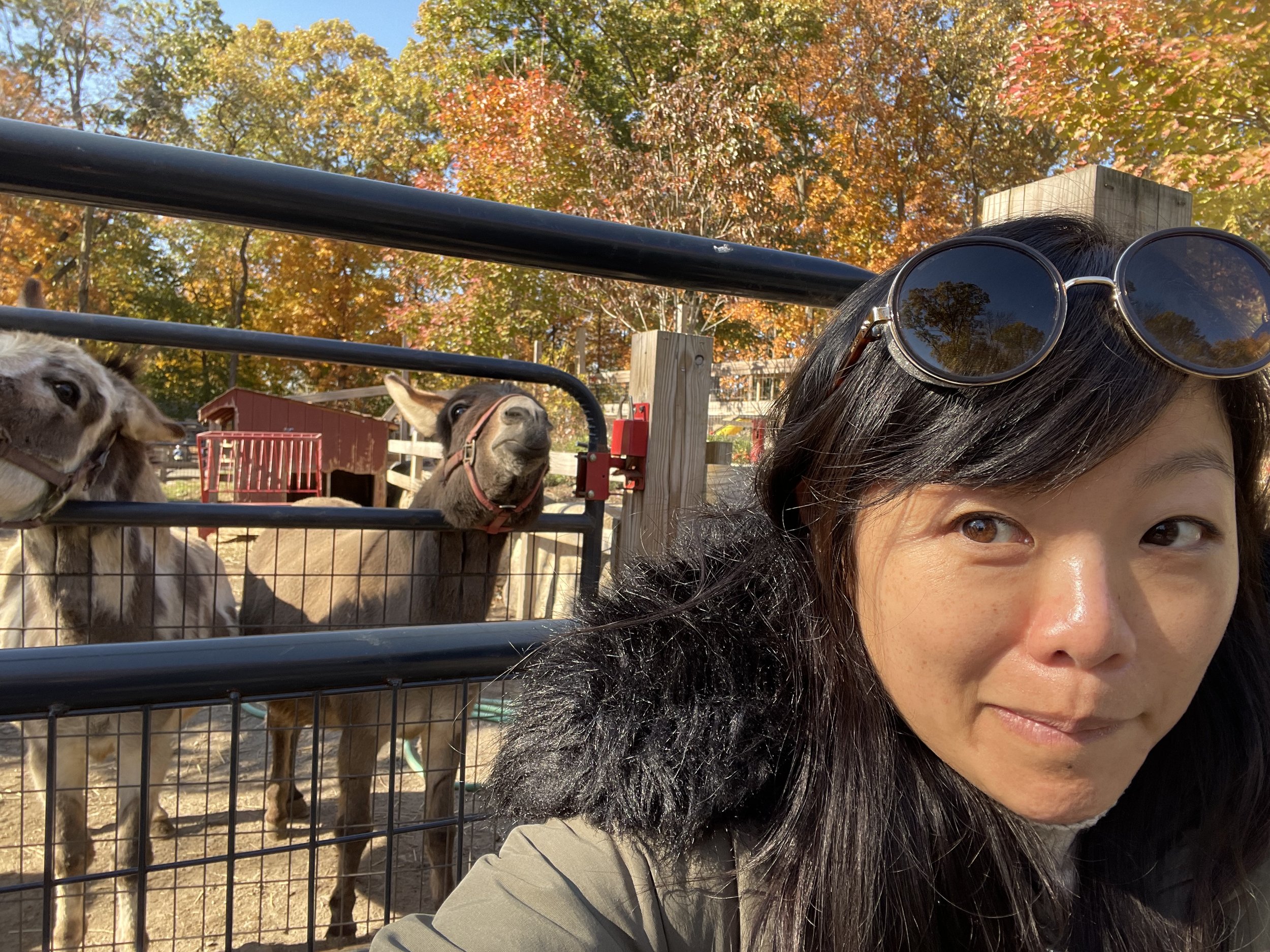 Abma's Farmer's Market & Petting Zoo