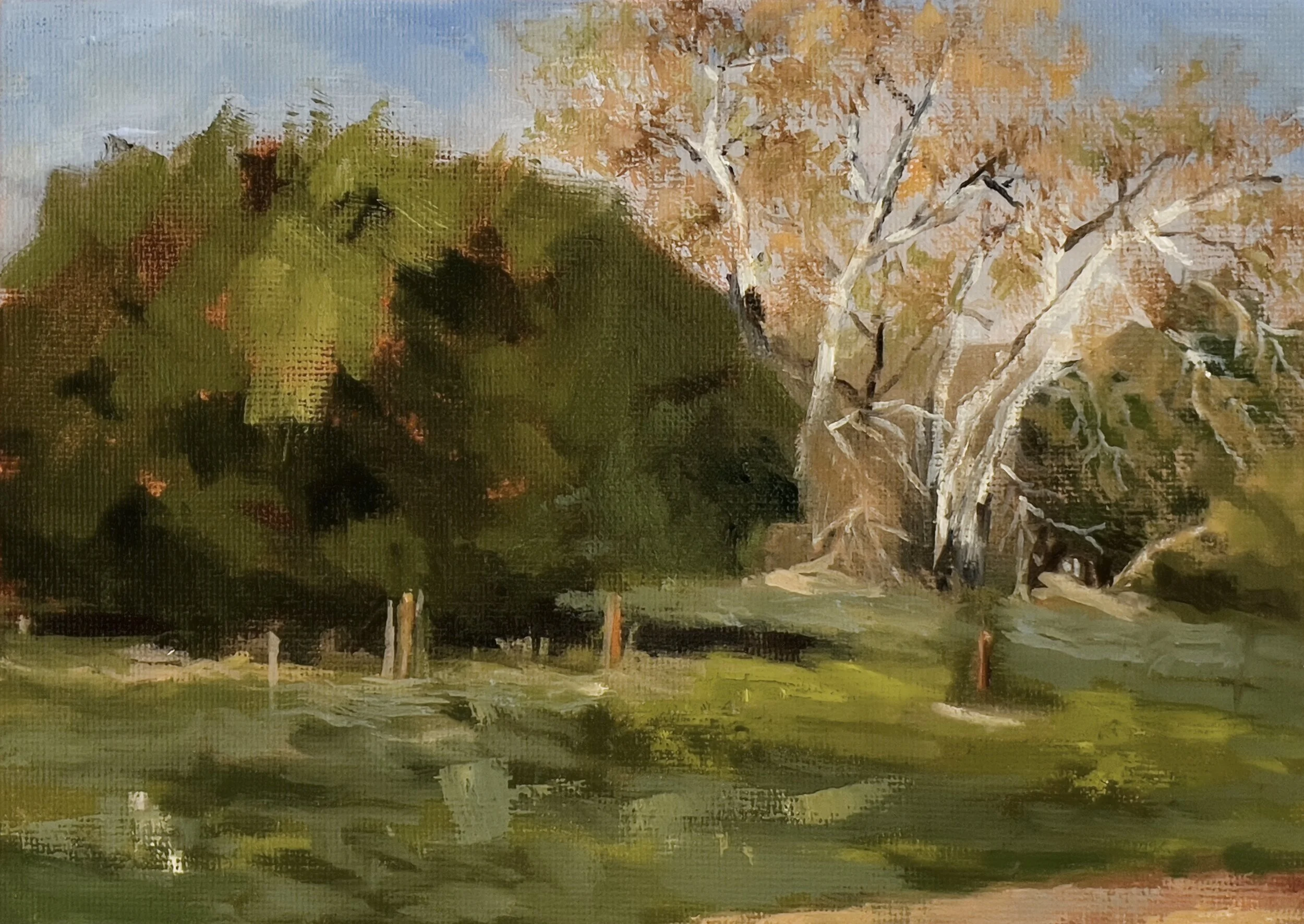 McClellan Ranch Preserve