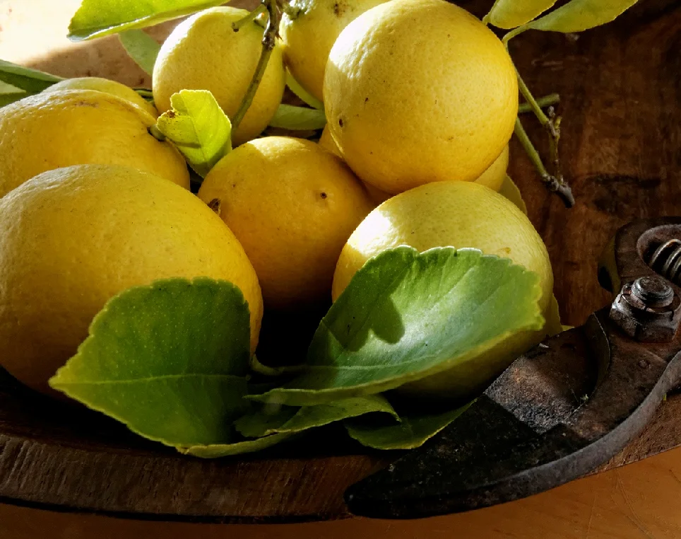 Limes in bowl