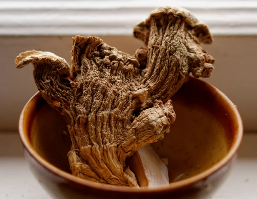 Aging (Ginger)
