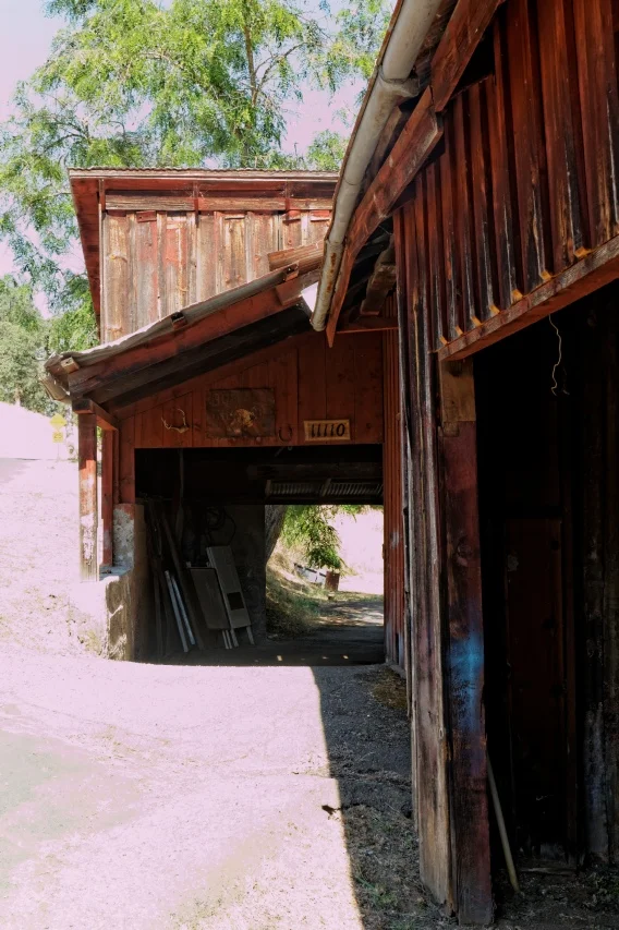 Blue Scrape (Amador Barn)