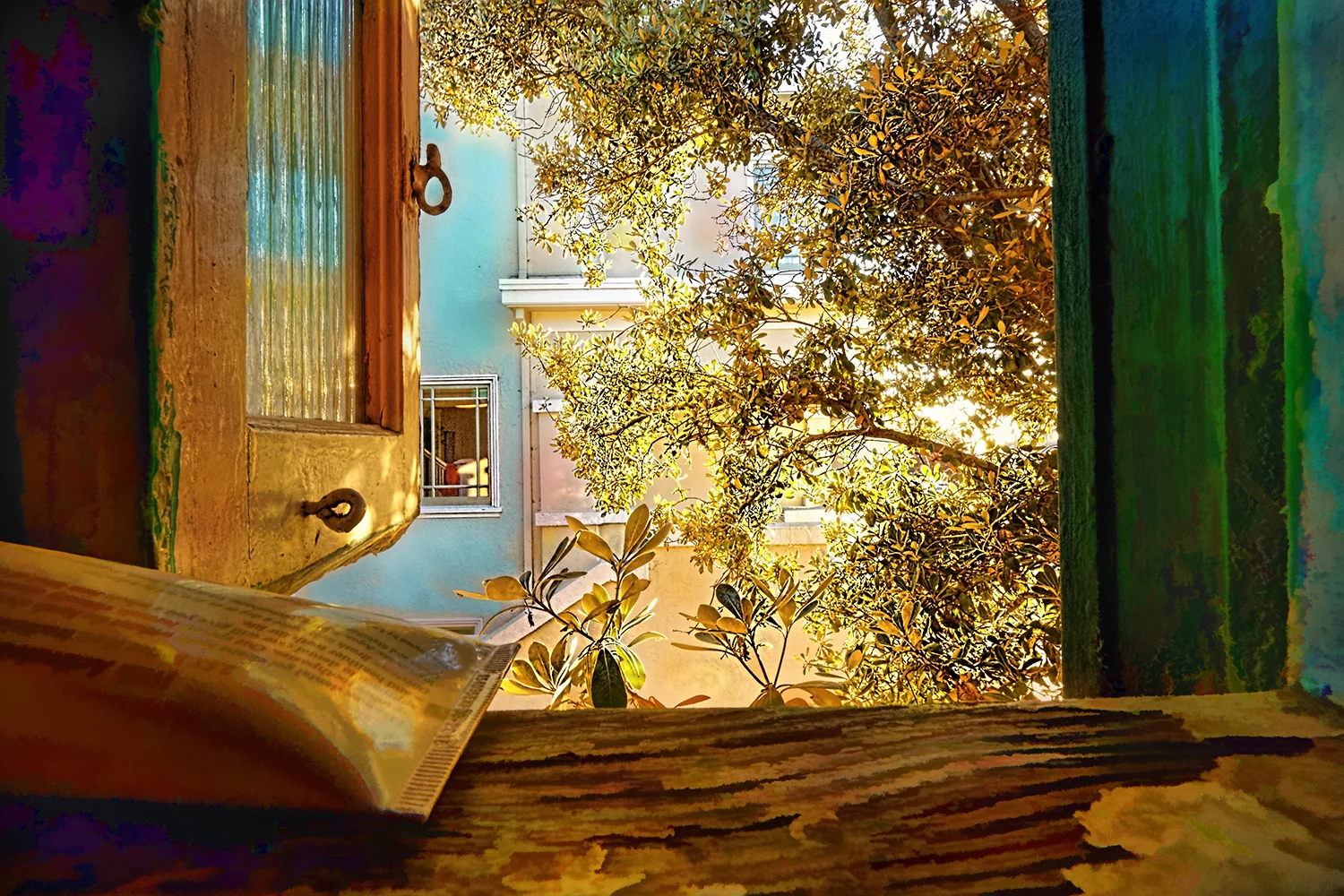 Window #23