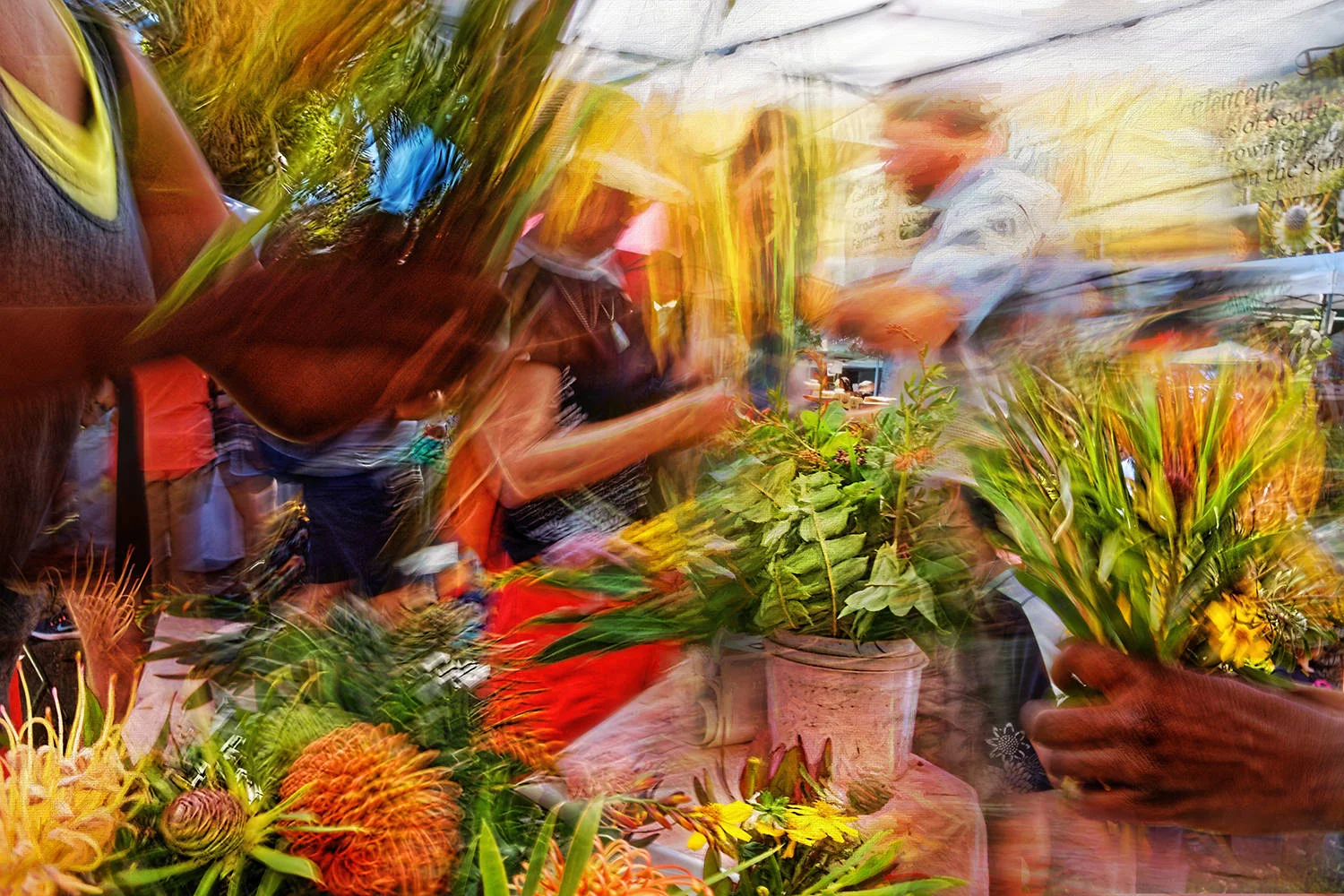Farmers'-Market #2