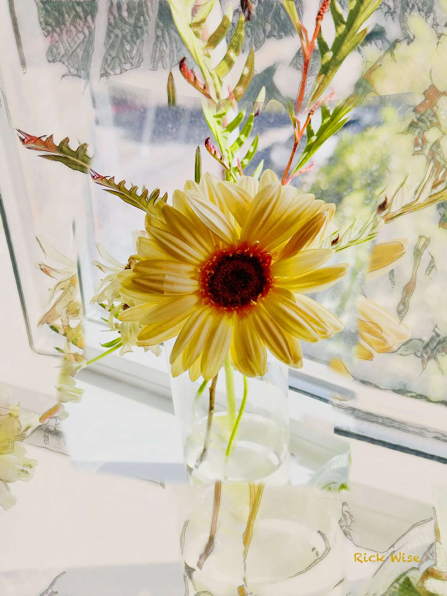 Bellara Window Sill No 2