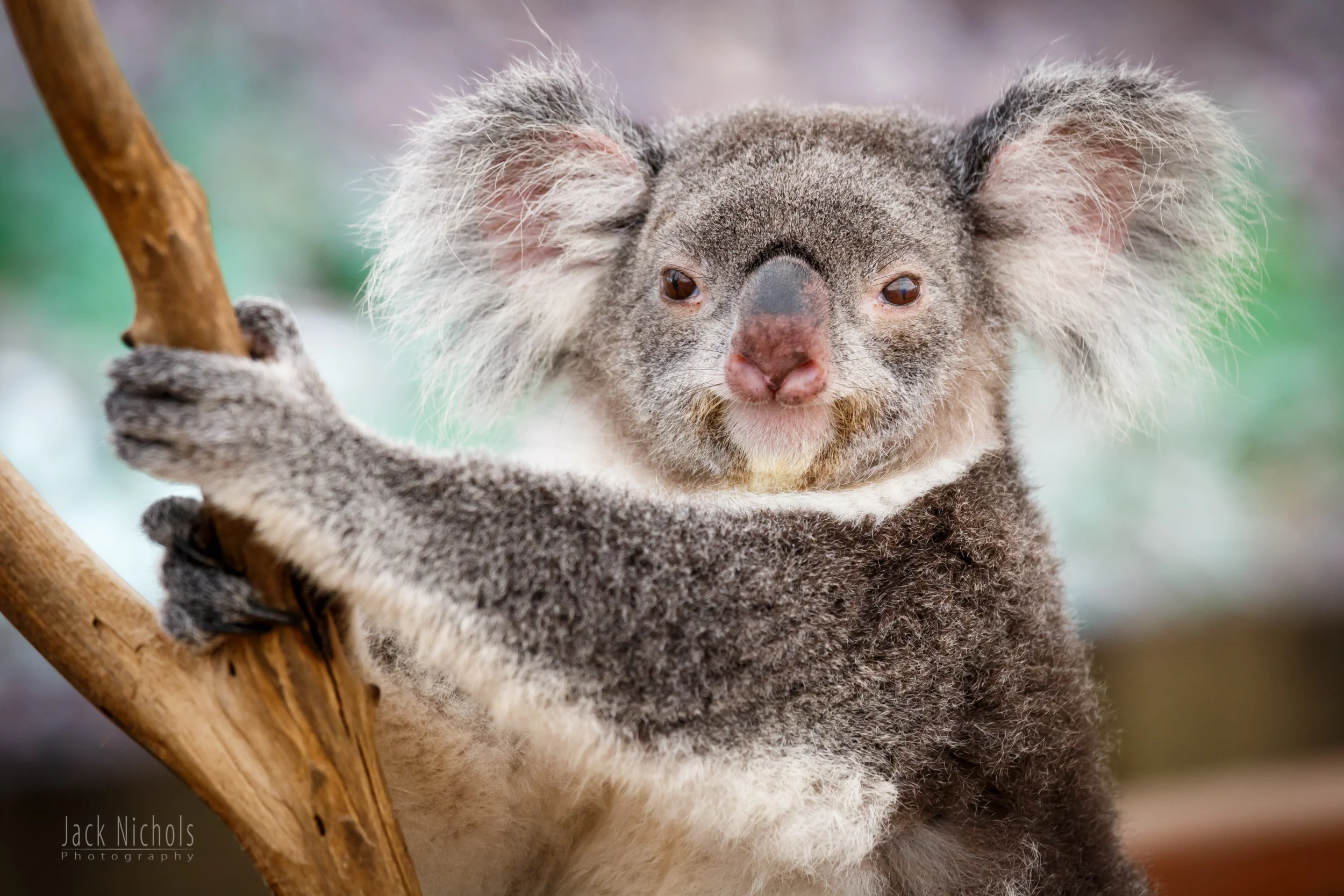 Hi There