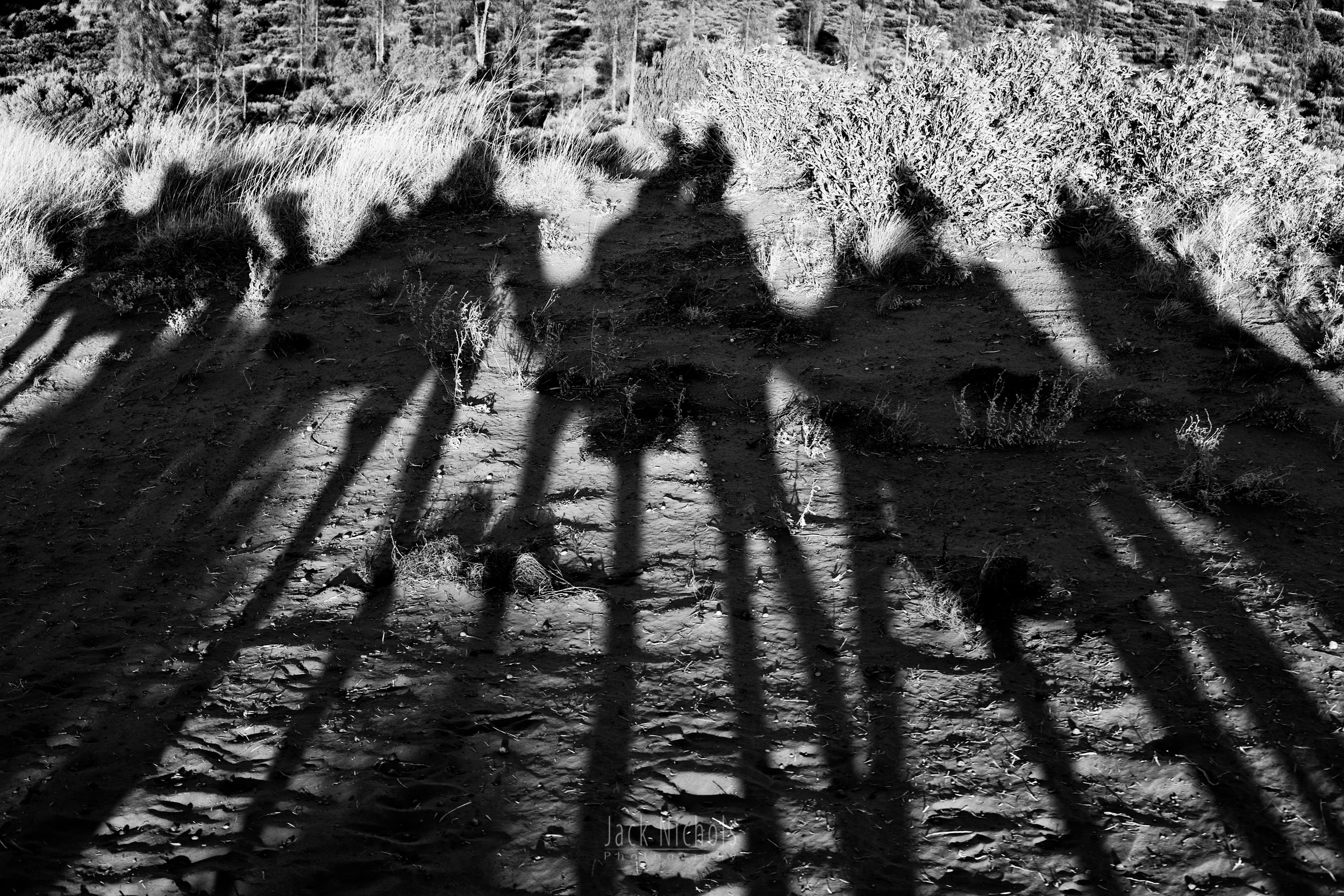 Shadows