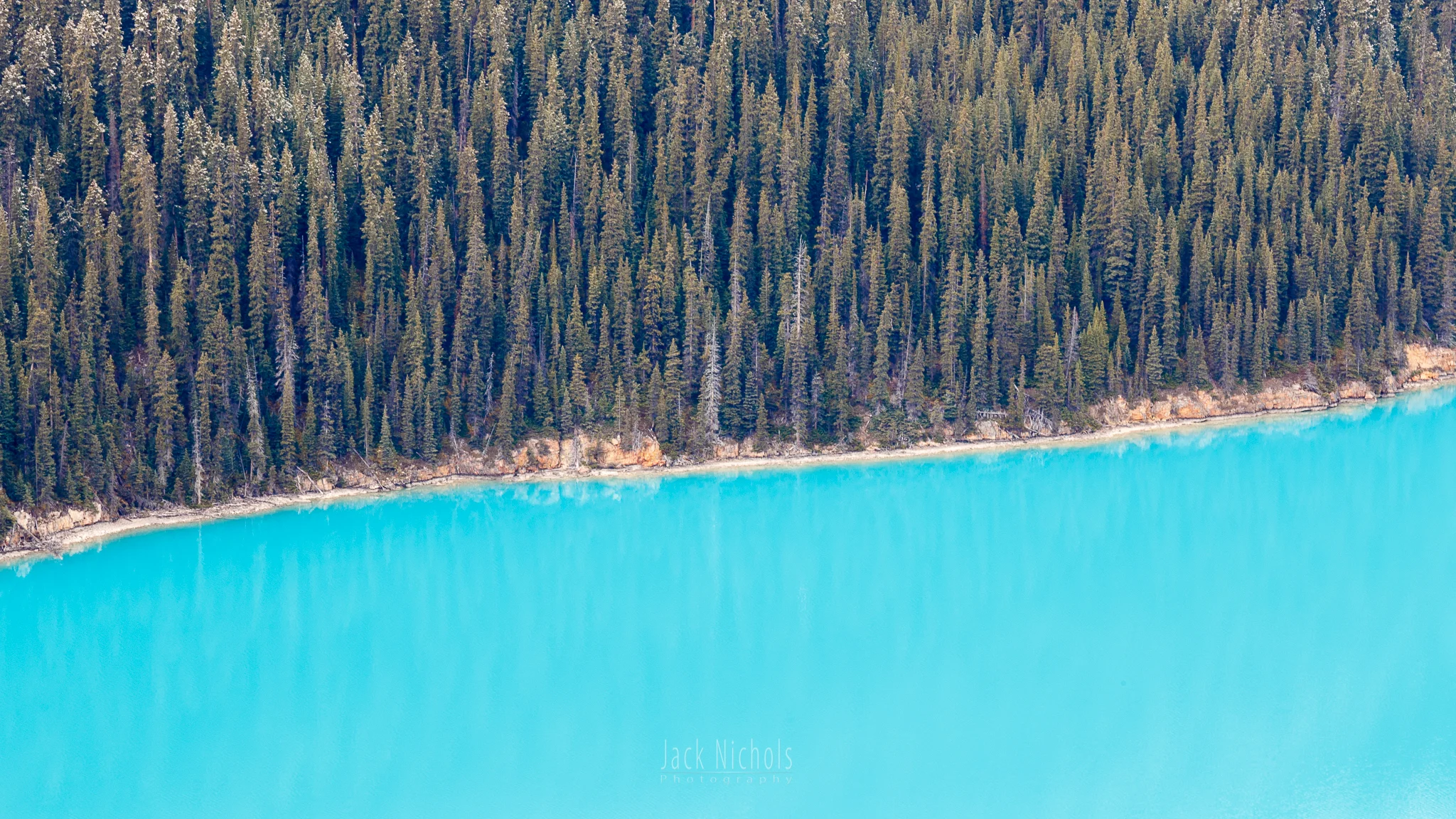 Forest and Blue
