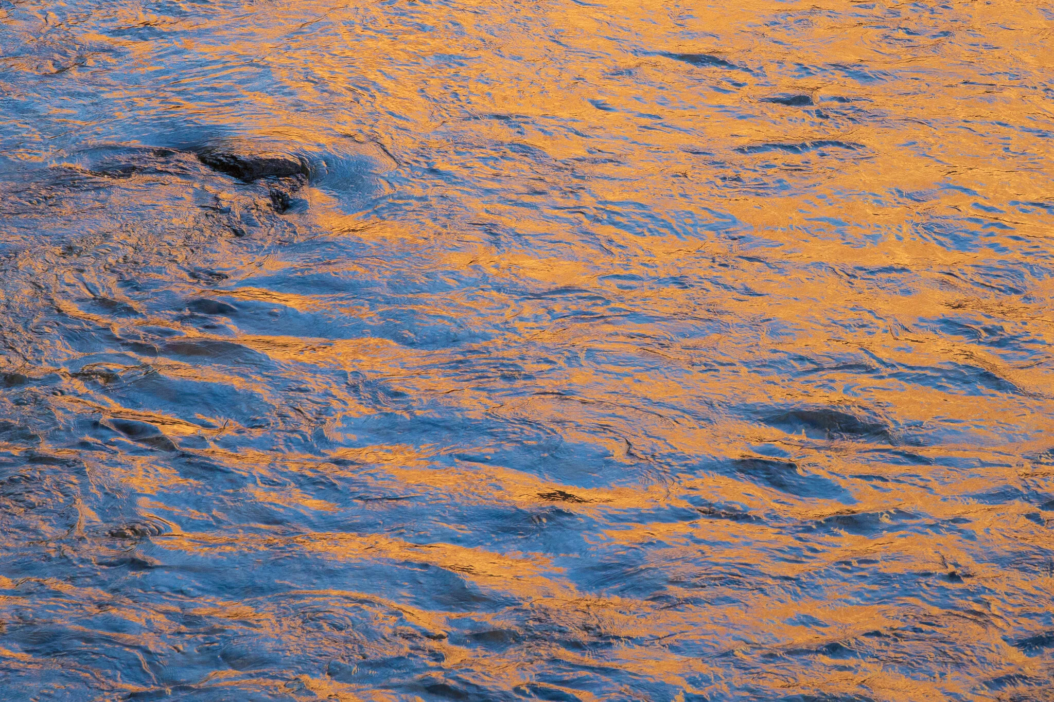 Zion National Park — Jack Nichols Photography