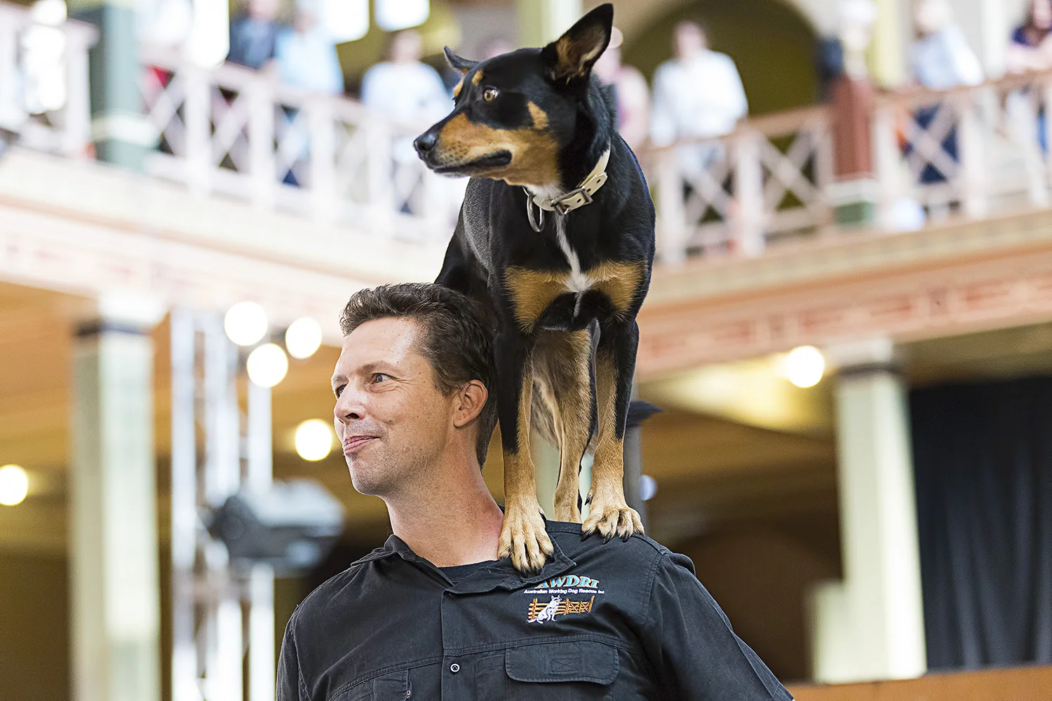 Showing off on Dad's shoulders!