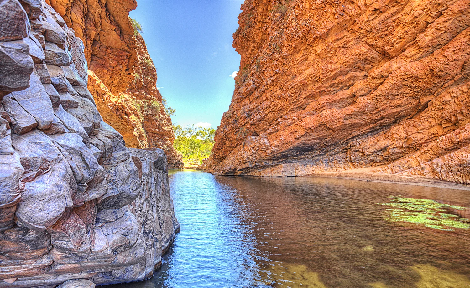 simpsons gap 5.jpg