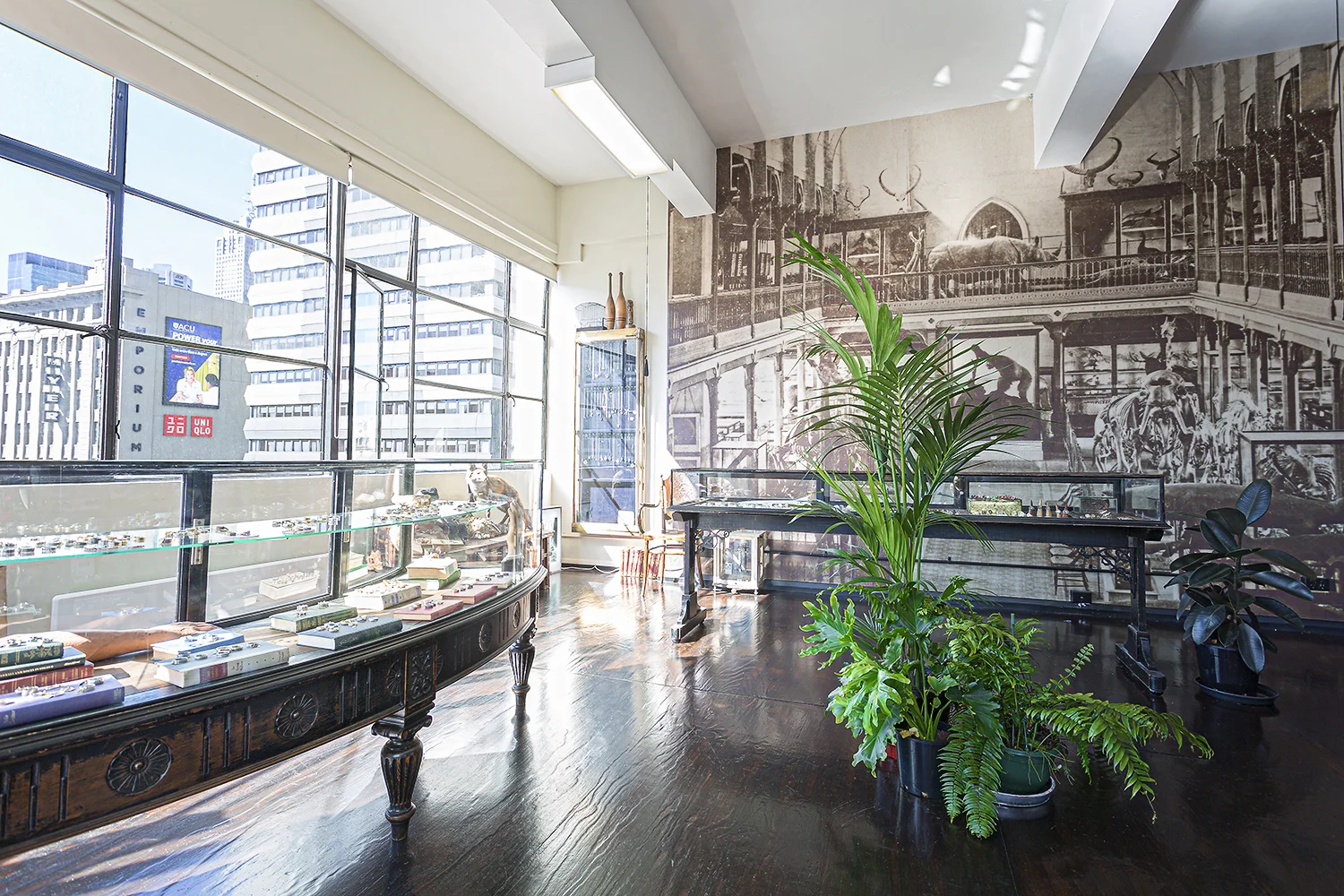 Lord Coconut, men's jewellery store in Melbourne's CBD