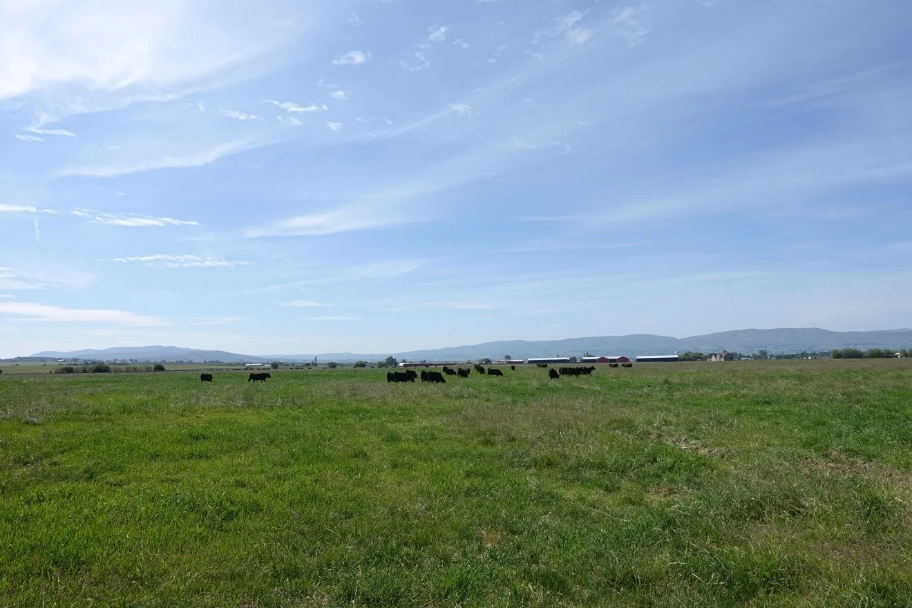 Explore Beef Experience
