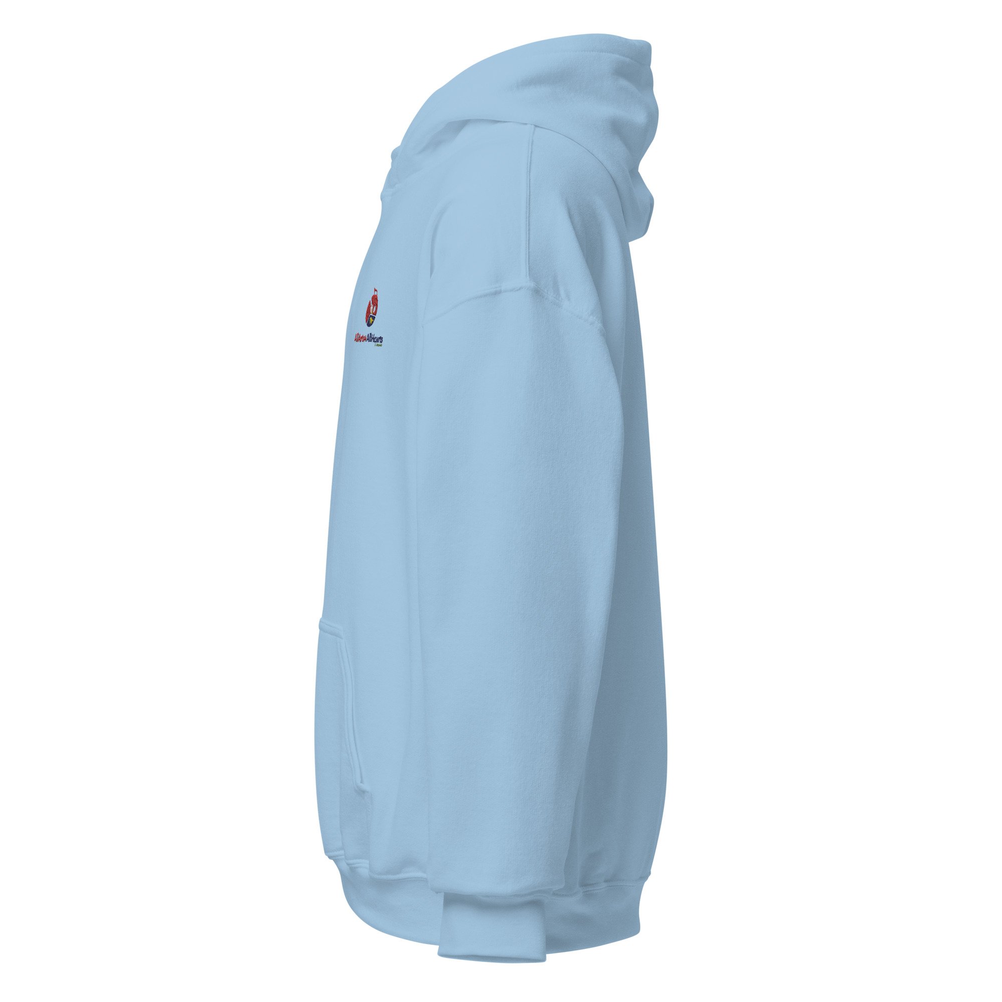 unisex-heavy-blend-hoodie-light-blue-left-64036ff69c558.jpg