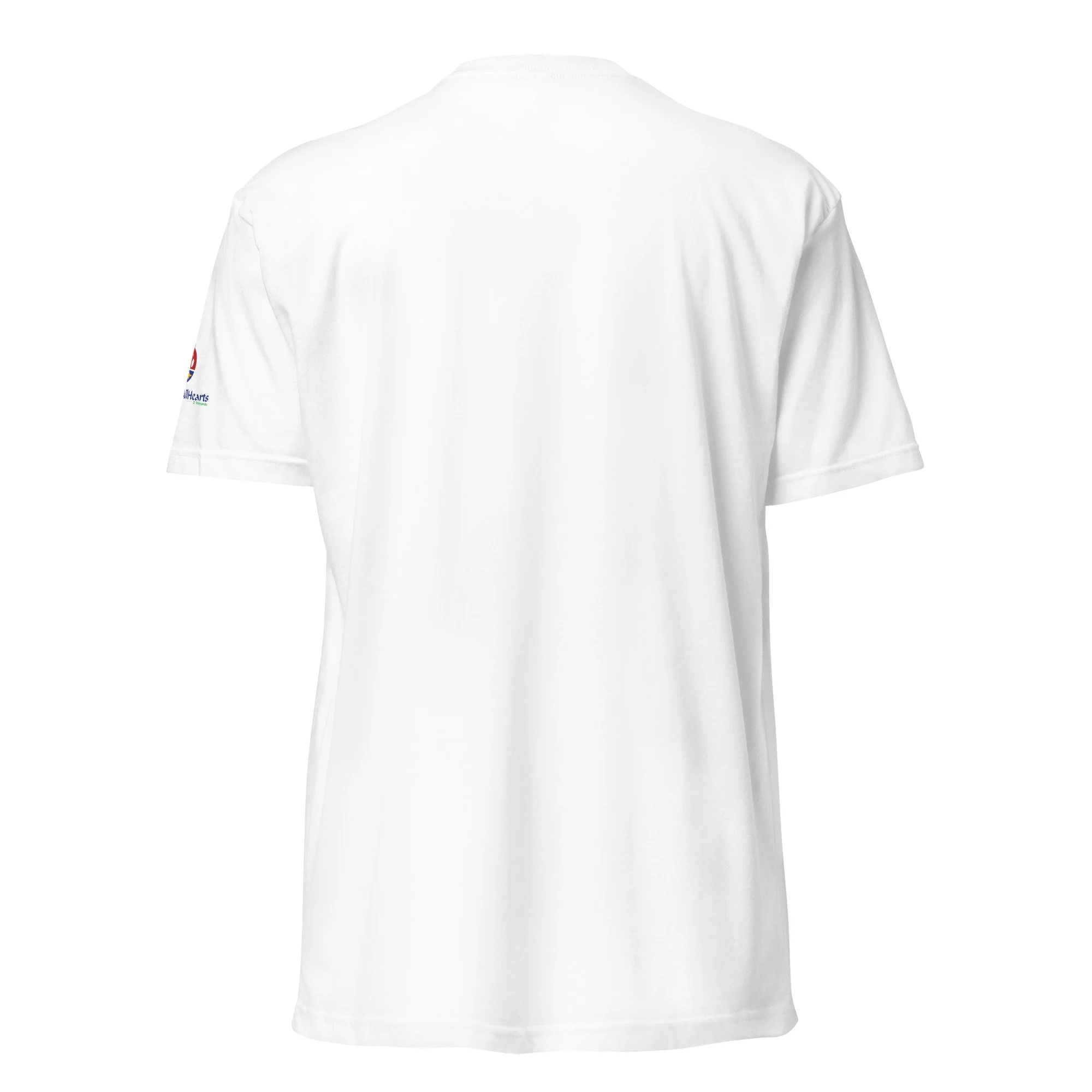 unisex-cvc-t-shirt-white-back-69d98afada3e7.jpg