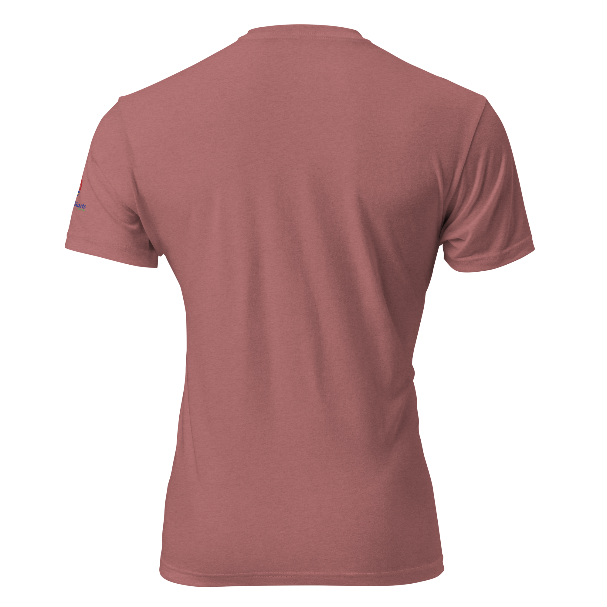 unisex-cvc-t-shirt-heather-mauve-back-69d9954a8d906.png