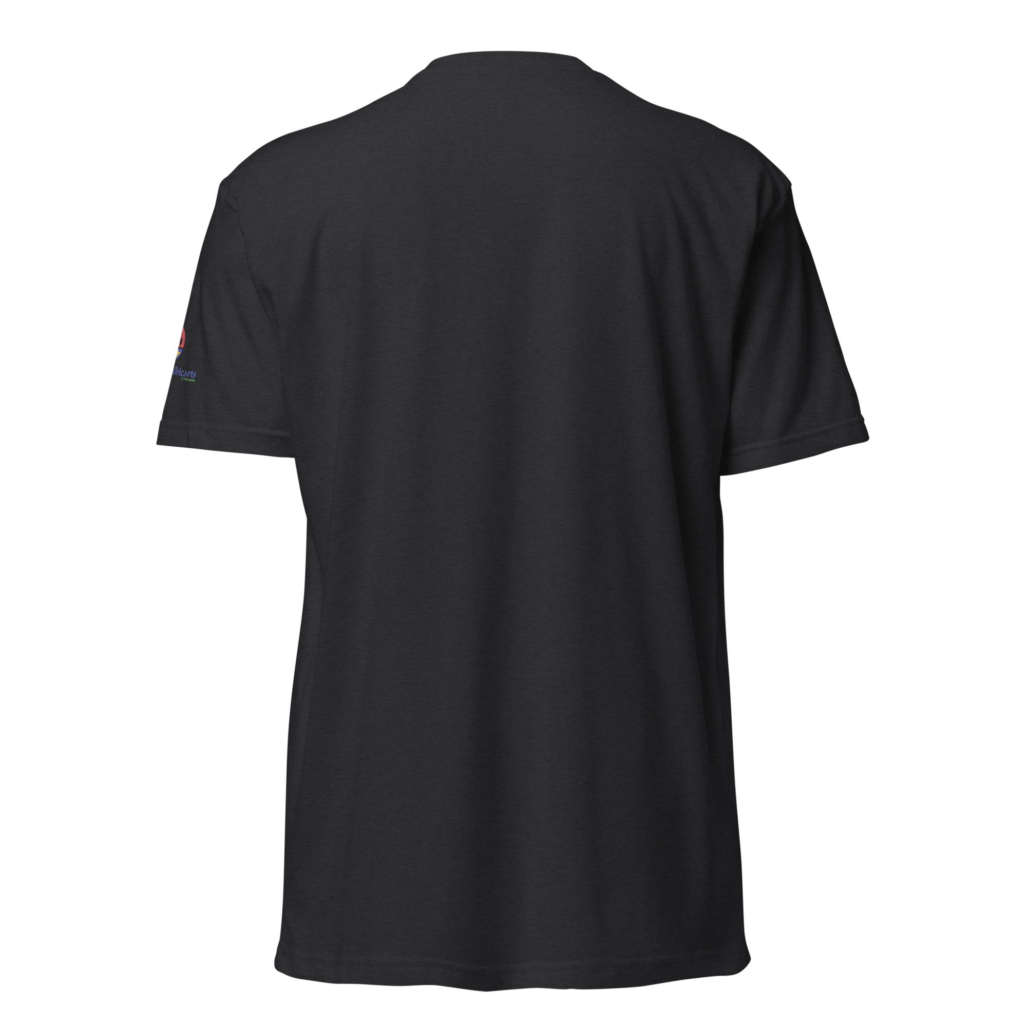 unisex-cvc-t-shirt-black-back-69d9aaaed0468.png