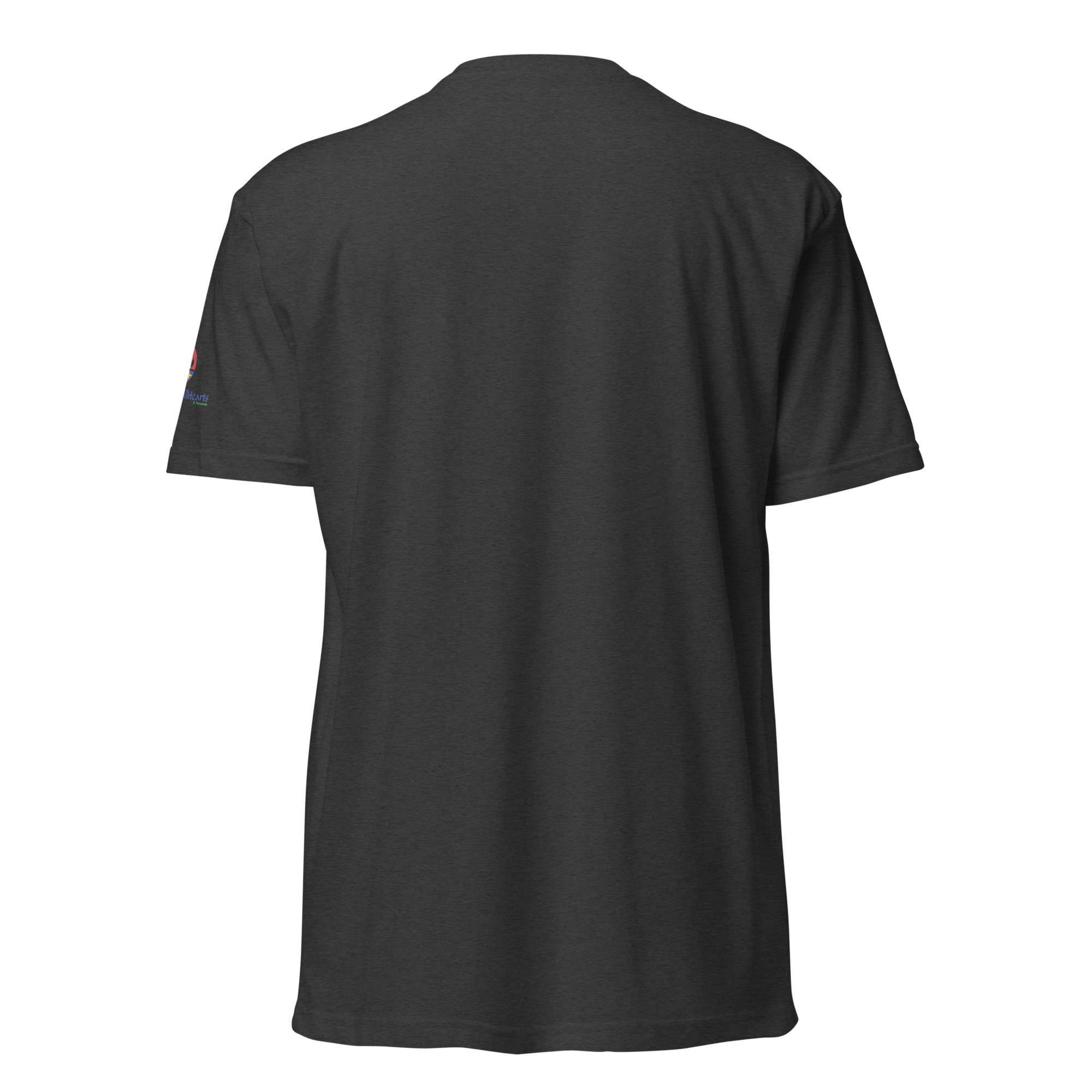 unisex-cvc-t-shirt-charcoal-back-69d9aaaed128e.png