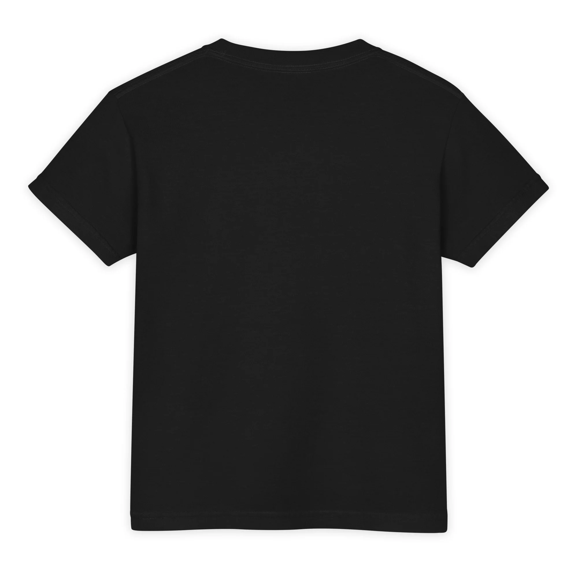 youth-garment-dyed-heavyweight-t-shirt-black-back-6a2e04f68c3ae.jpg