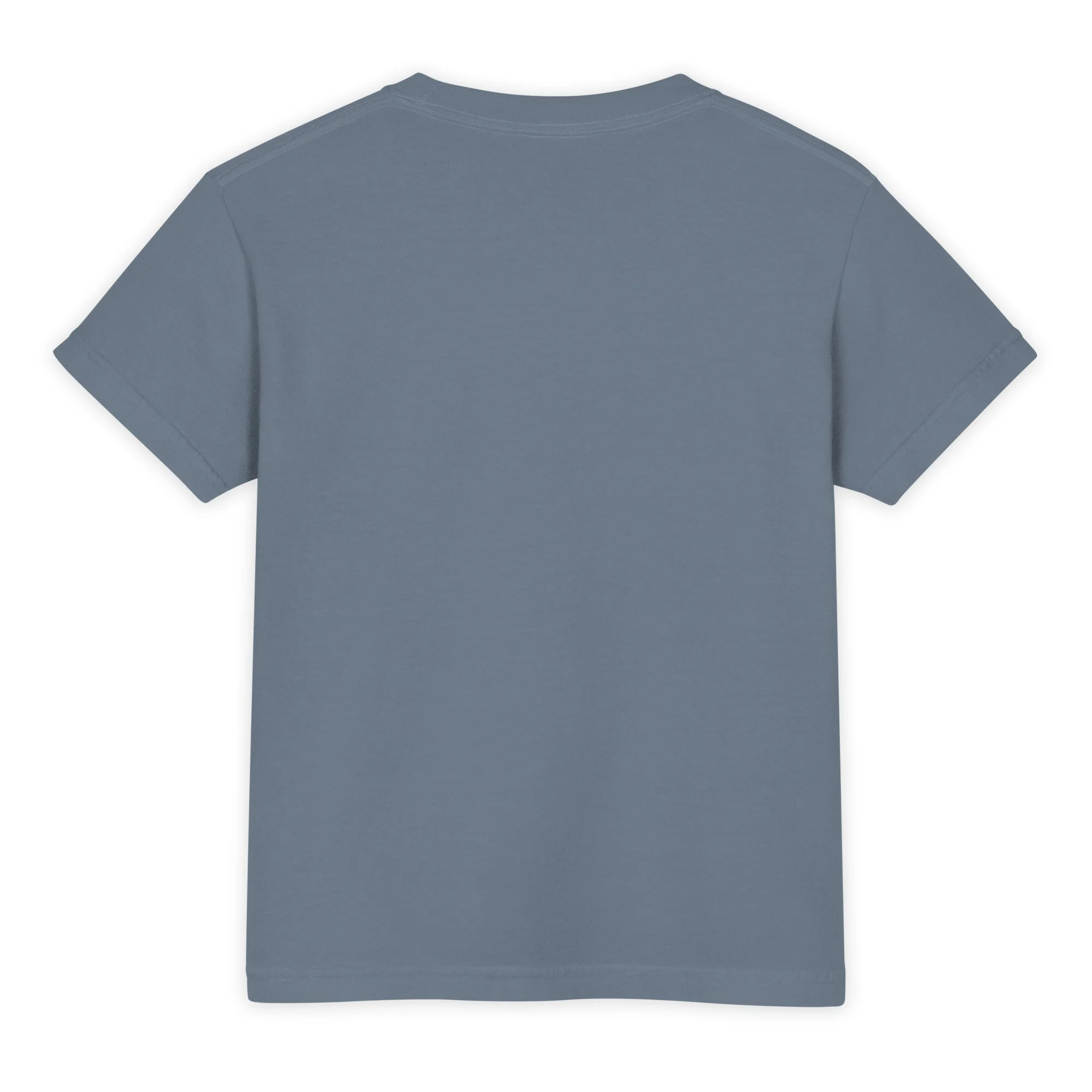 youth-garment-dyed-heavyweight-t-shirt-blue-jean-back-6a2e04f68c624.jpg