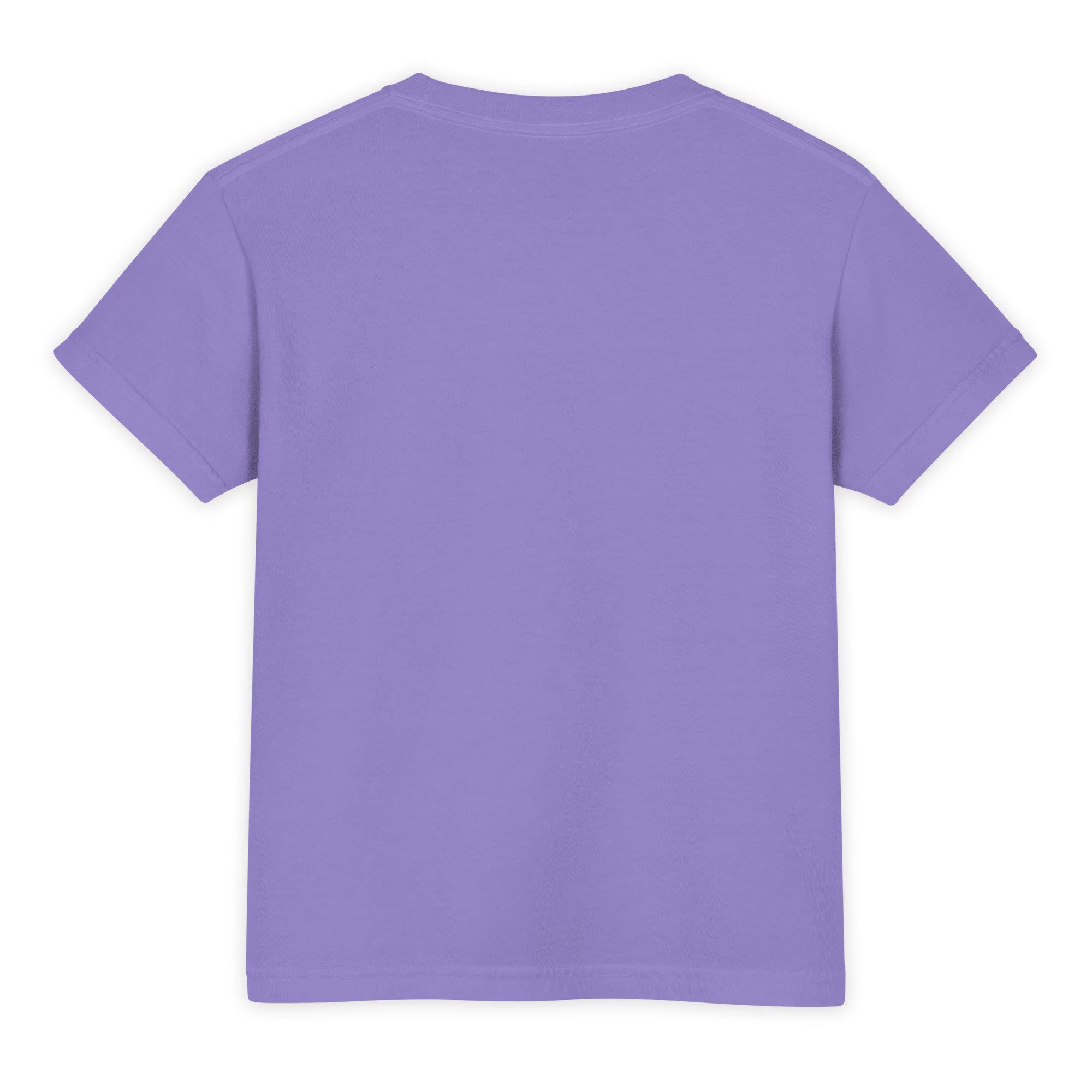 youth-garment-dyed-heavyweight-t-shirt-violet-back-6a2e04f68c7e3.jpg