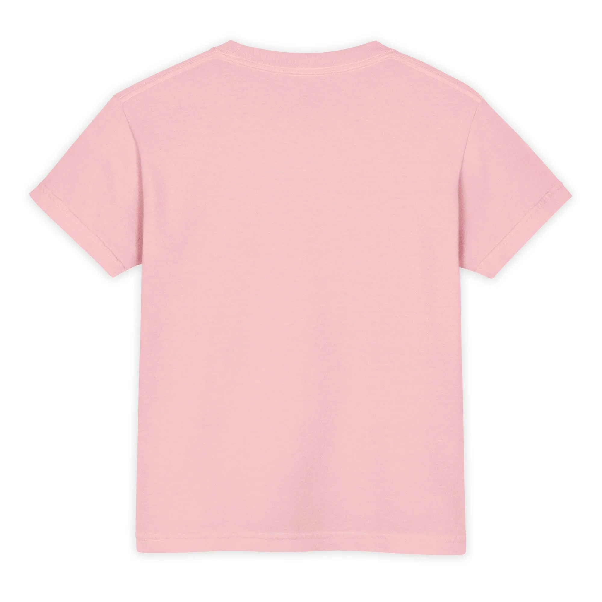 youth-garment-dyed-heavyweight-t-shirt-blossom-back-6a2e04f68cb09.jpg