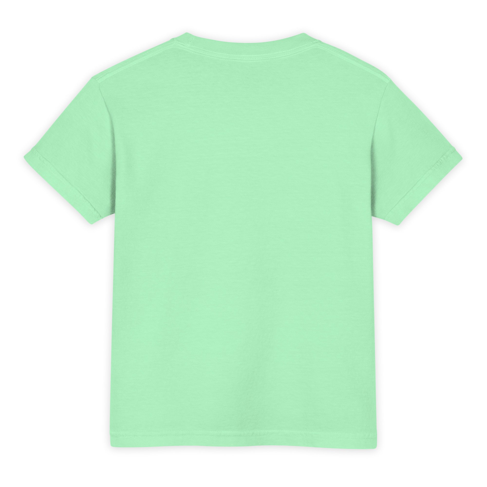 youth-garment-dyed-heavyweight-t-shirt-island-reef-back-6a2e04f68d068.jpg