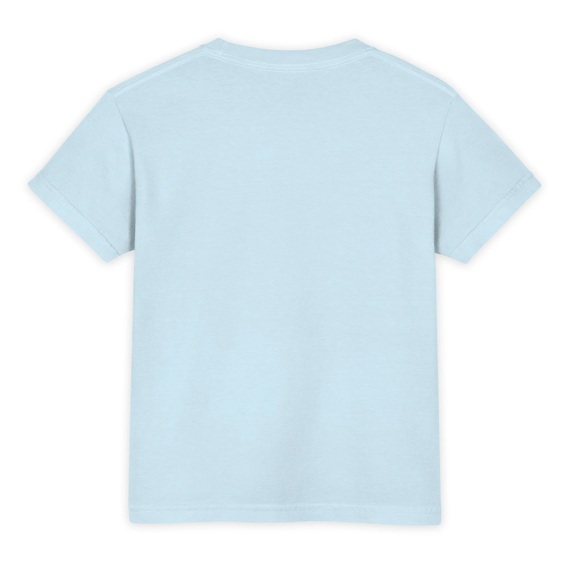 youth-garment-dyed-heavyweight-t-shirt-chambray-back-6a2e04f68d382.jpg