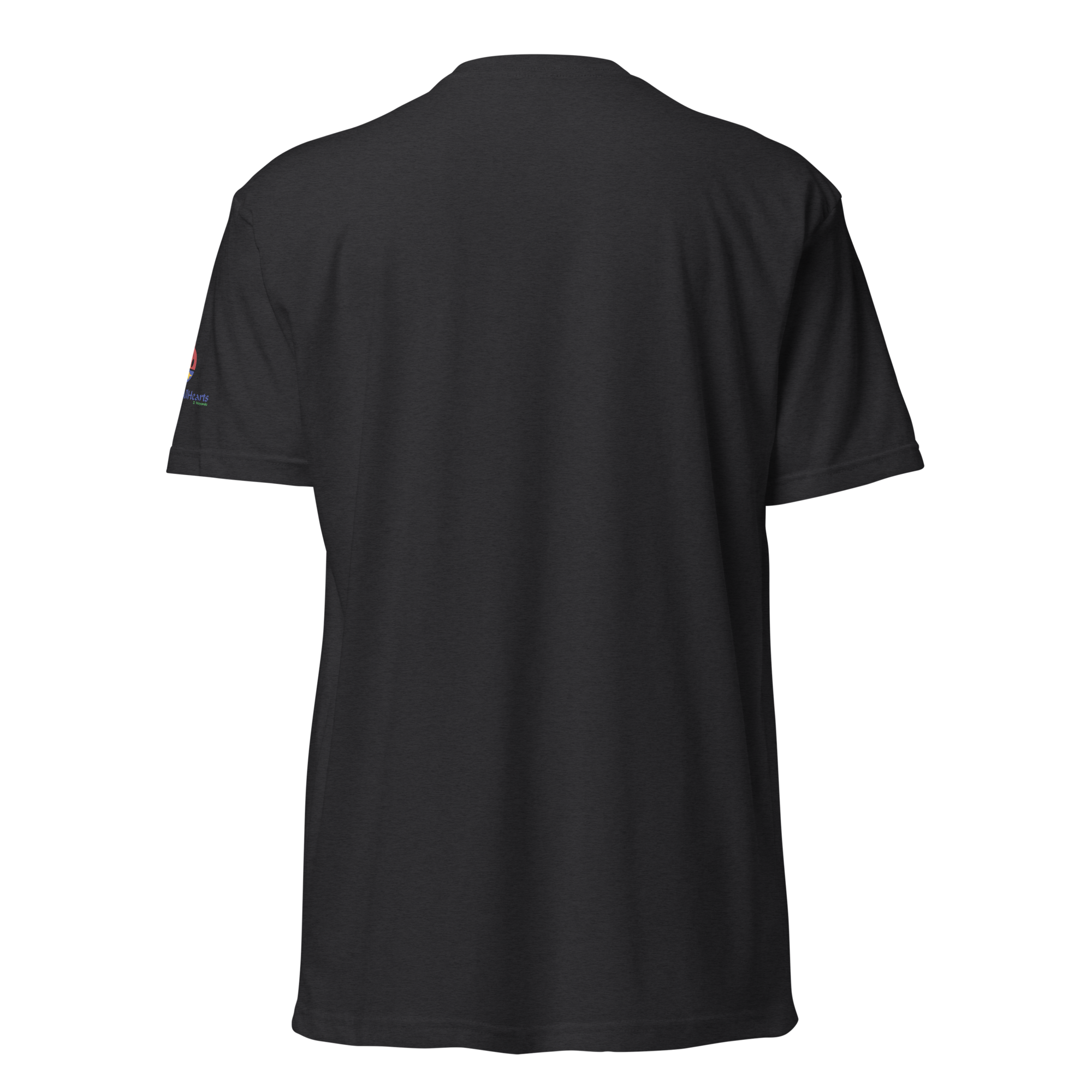 unisex-cvc-t-shirt-black-back-6a2f16bf57b7c.png