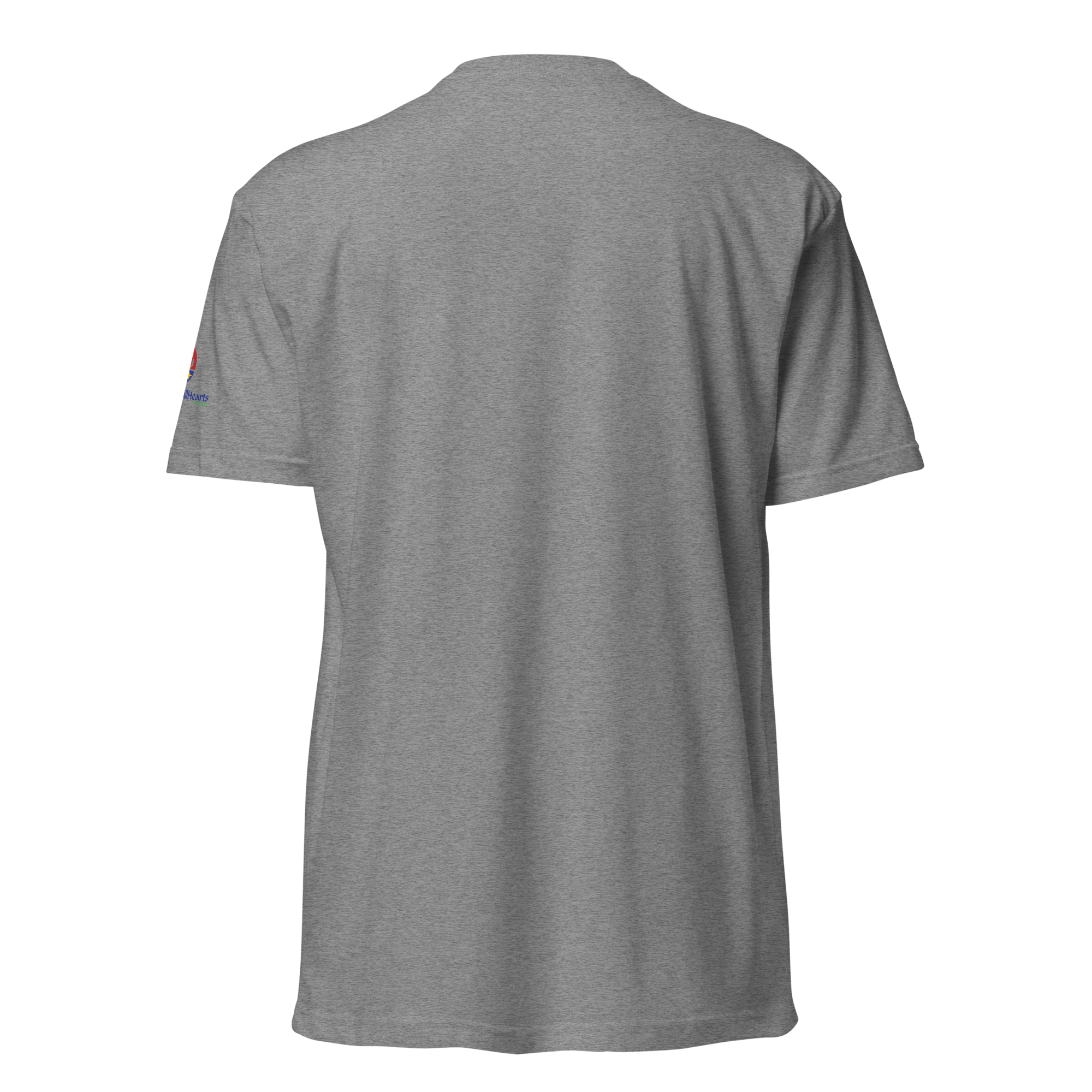 unisex-cvc-t-shirt-dark-heather-gray-back-6a2f16bf70bdc.png