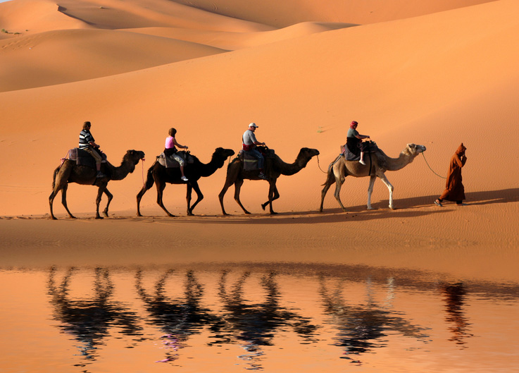 camels_sahara_morocco.jpg