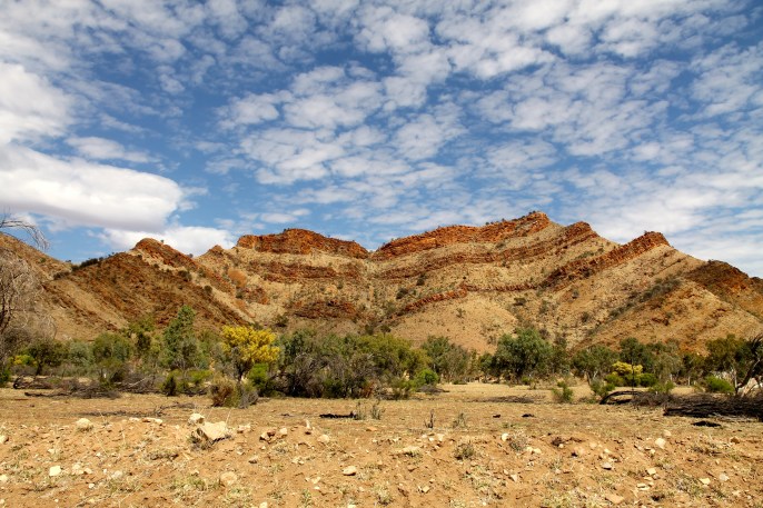 Binns Track to N'Dhala Gorge.jpg