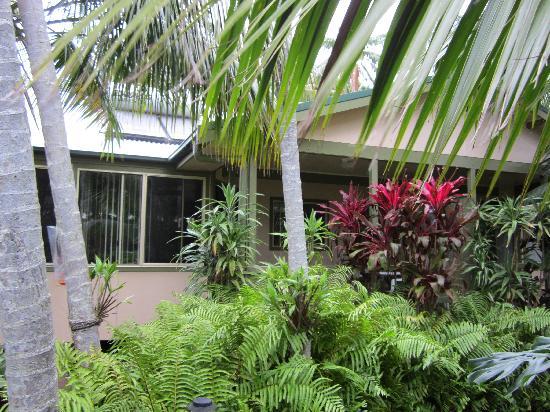 view-from-garden-of-villa.jpg