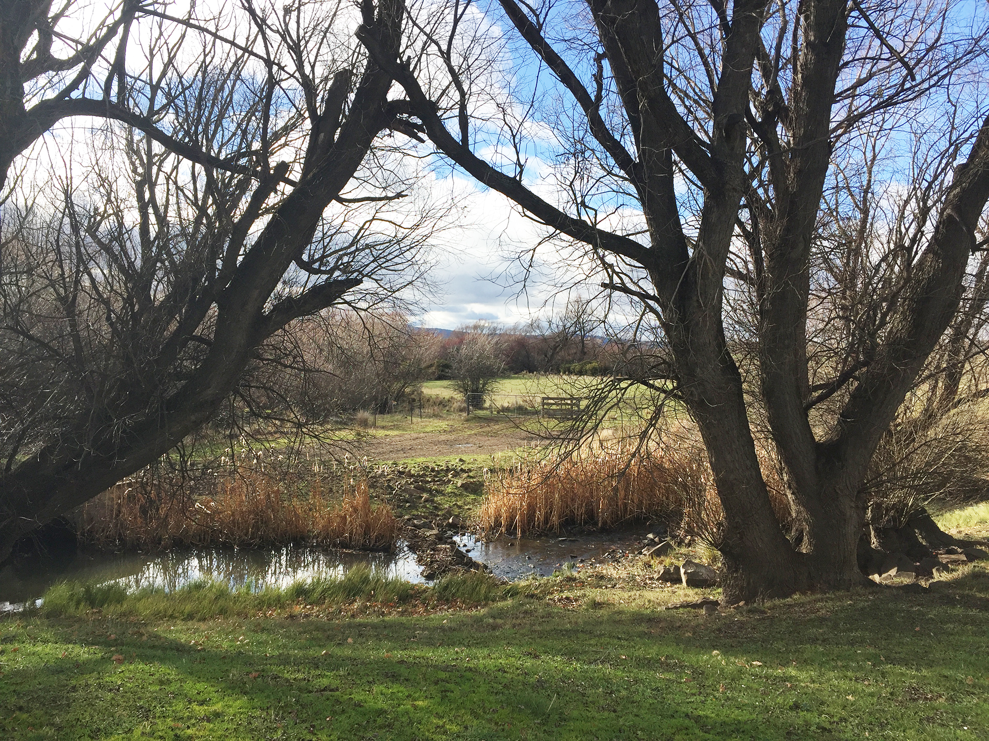 Clyde River Ratho Farm.jpg