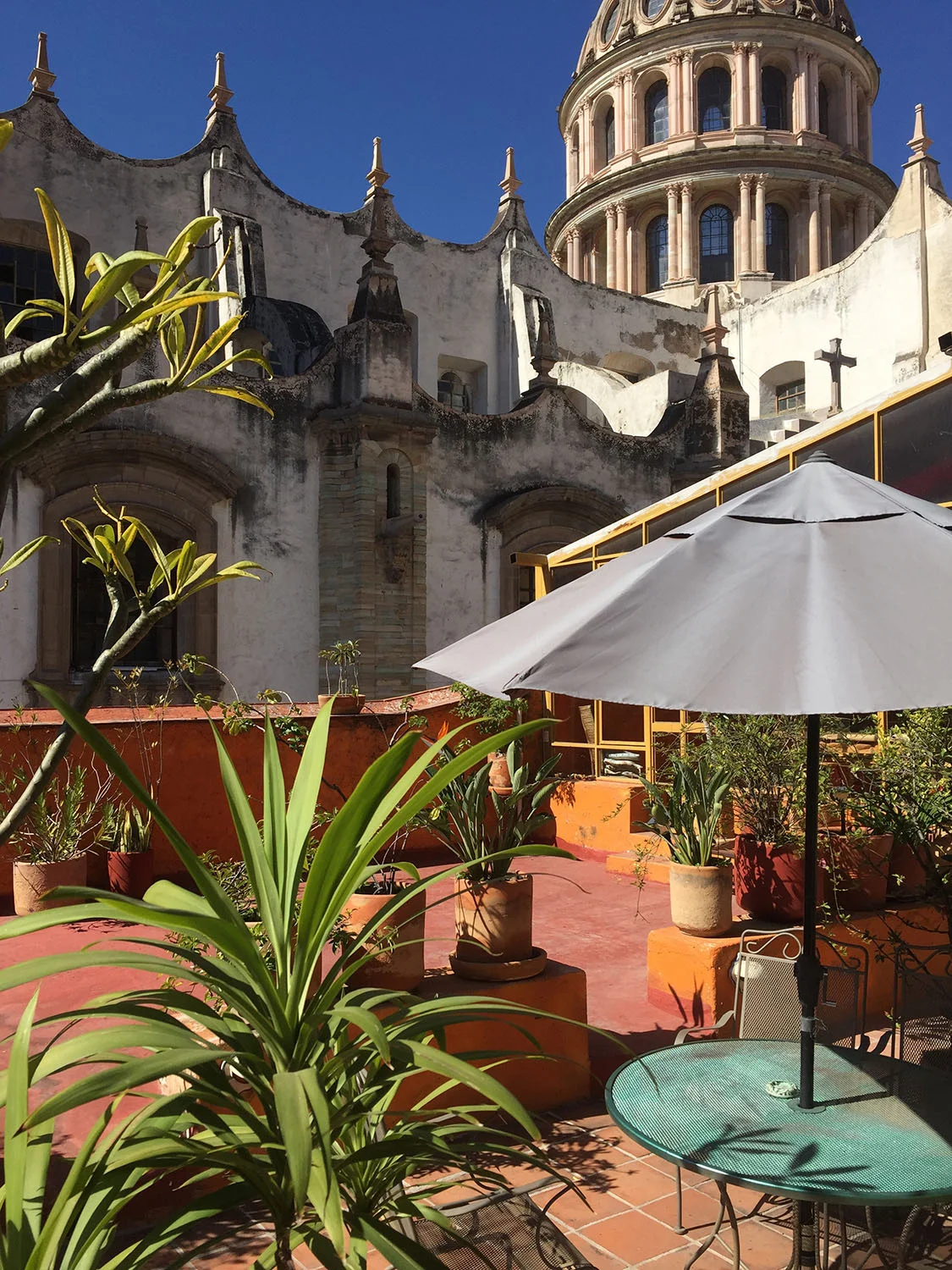 Roof Garden-Guanajuato_Mexico.jpg