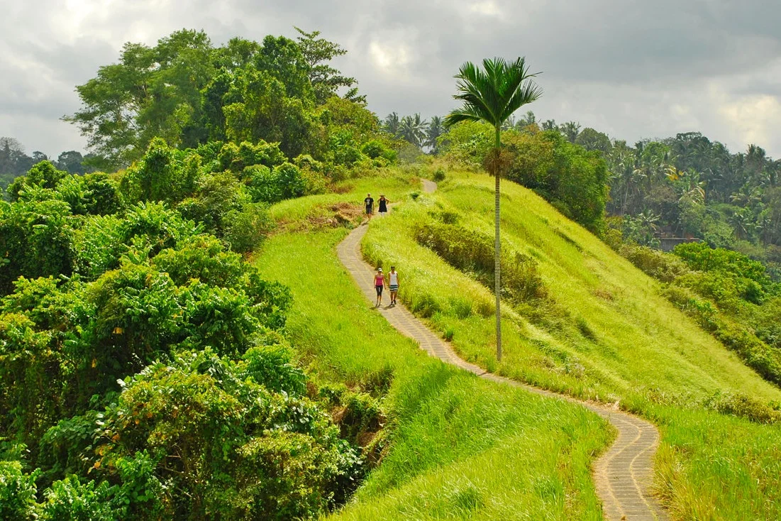 Campuhan Ridge Walk.png