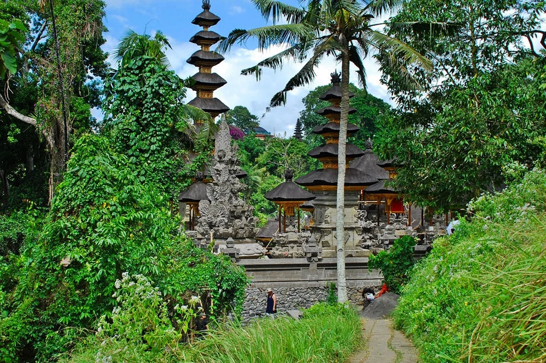 Campuhan+Ridge+Walk3.jpg