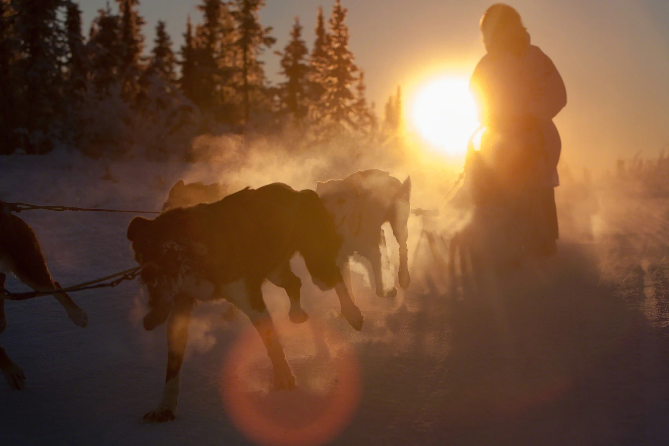 Alaska-Butcher_3219-1.jpg